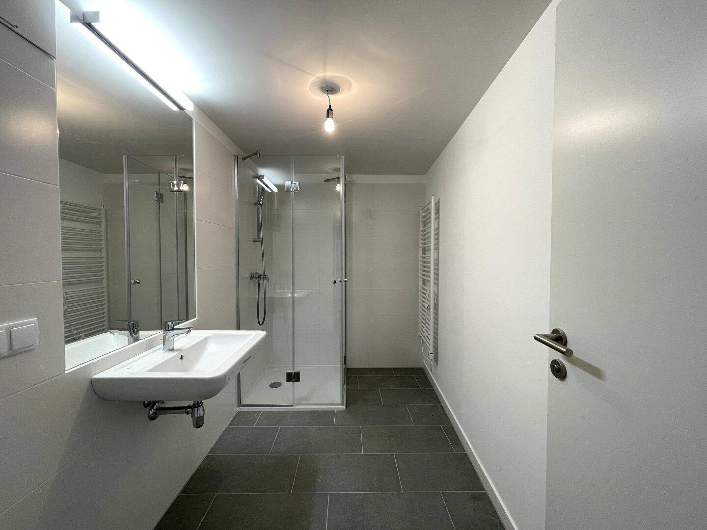 Modernes Badezimmer mit Dusche, Waschbecken und beheiztem Handtuchhalter.