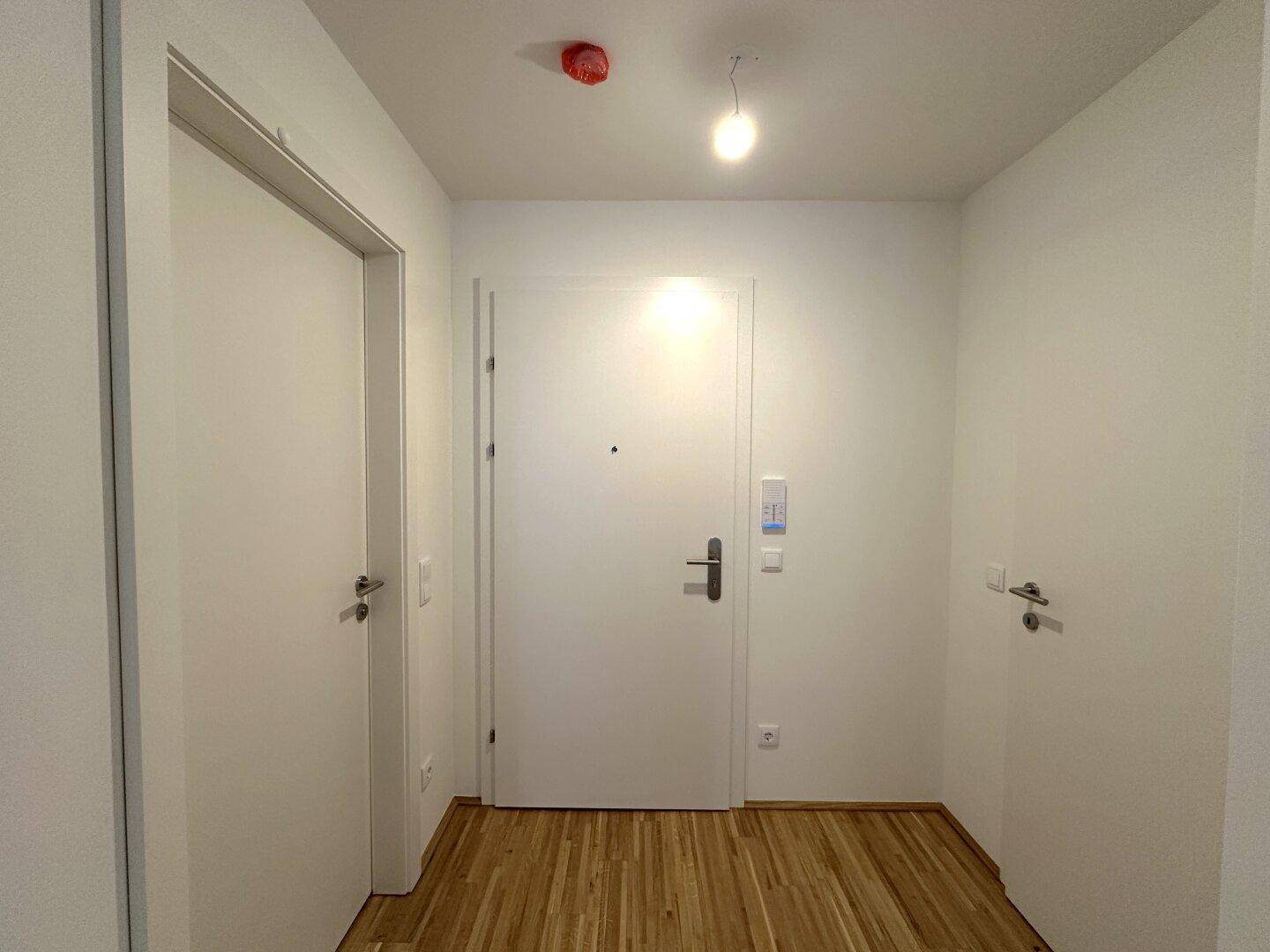 Heller Eingangsbereich mit Parkettboden und weißer Wohnungstür.