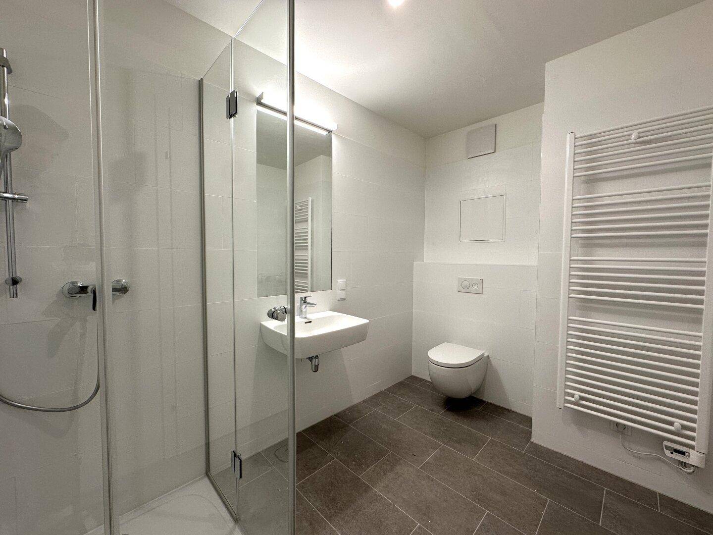 Zeitgemäßes Badezimmer mit Duschkabine, WC und beheiztem Handtuchhalter.