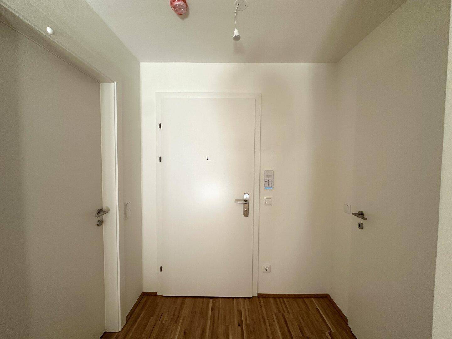 Heller Eingangsbereich mit Parkettboden und moderner Wohnungstür, die in die Wohnung führt.