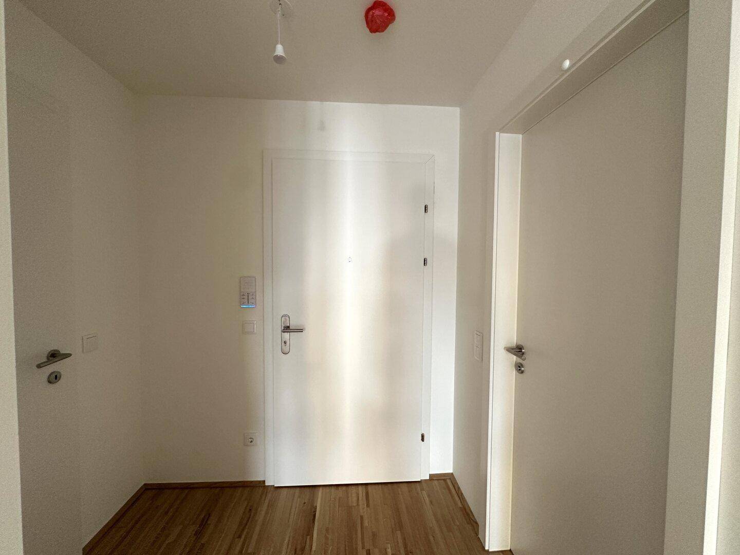 Heller Eingangsbereich mit Holzboden und weißer Eingangstür.