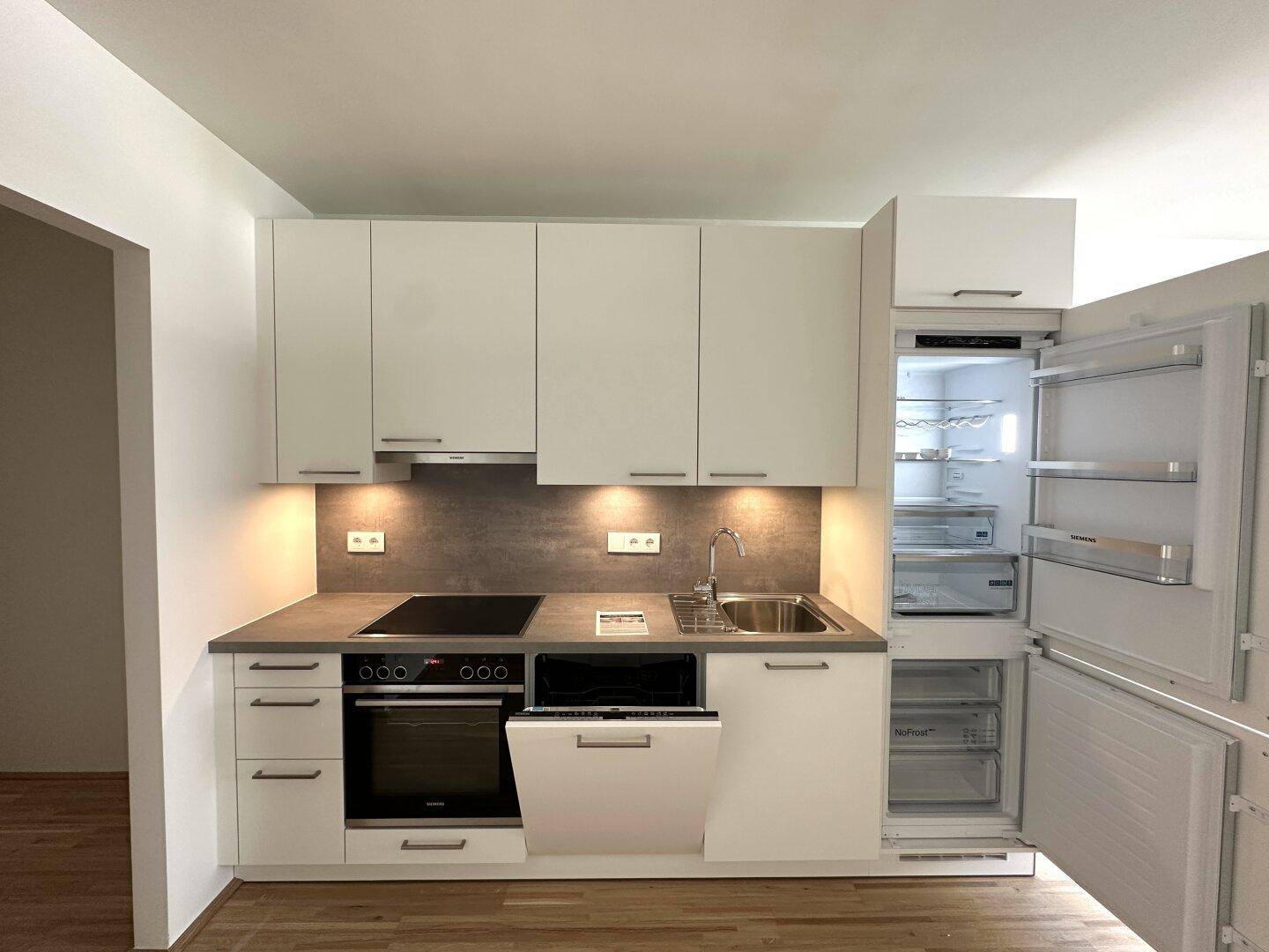 Voll ausgestattete moderne Küche mit Kühlschrank, Geschirrspüler und Kochfeld.