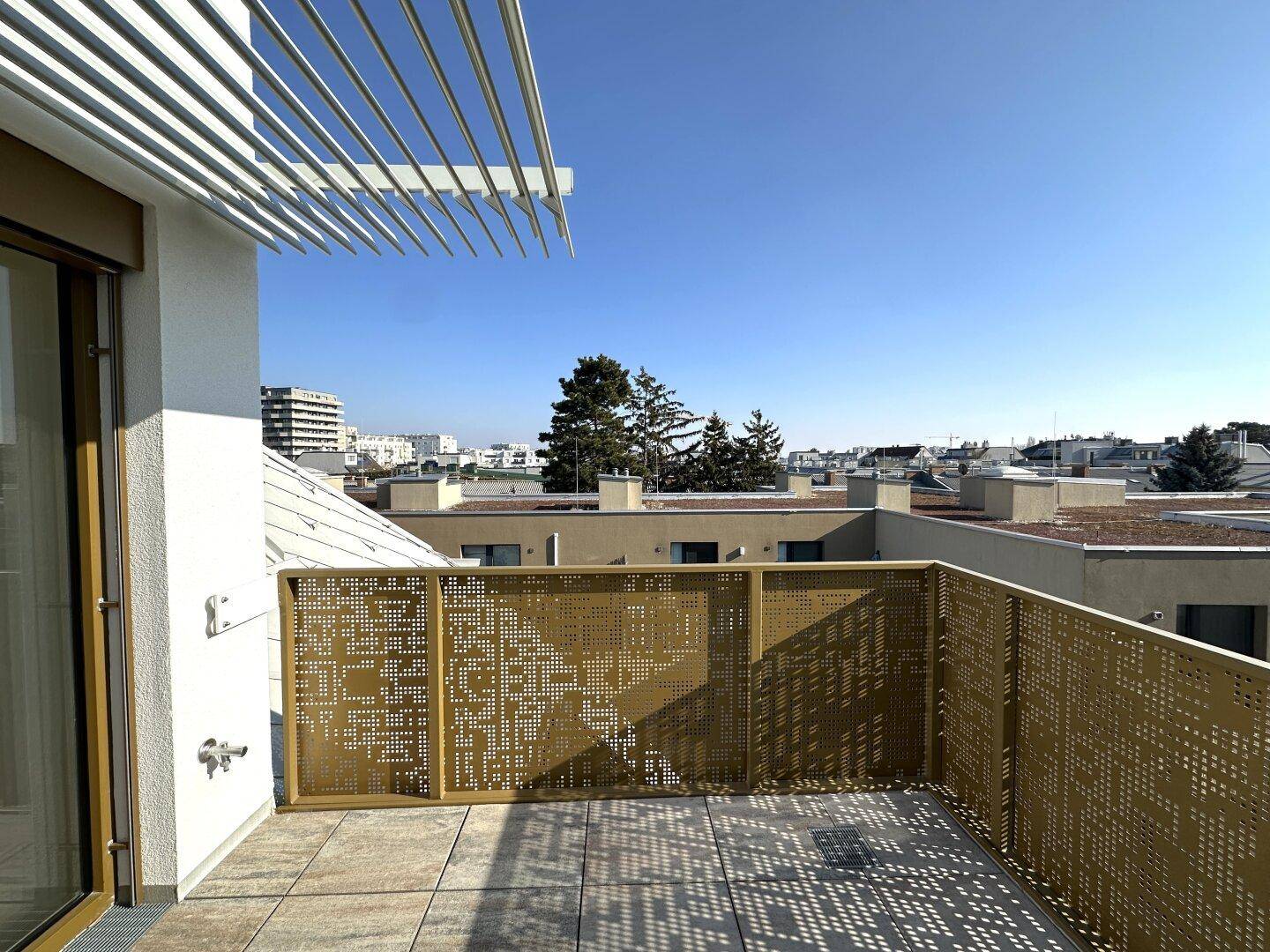 Geräumige Dachterrasse mit perforiertem Geländer und Blick auf die umliegenden Gebäude und Bäume.