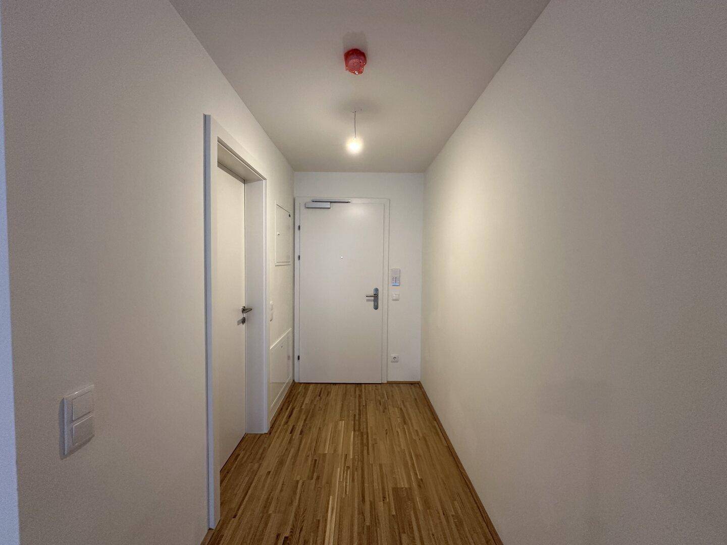 Heller Eingangsbereich mit Holzparkettboden, weißen Wänden und moderner Beleuchtung.