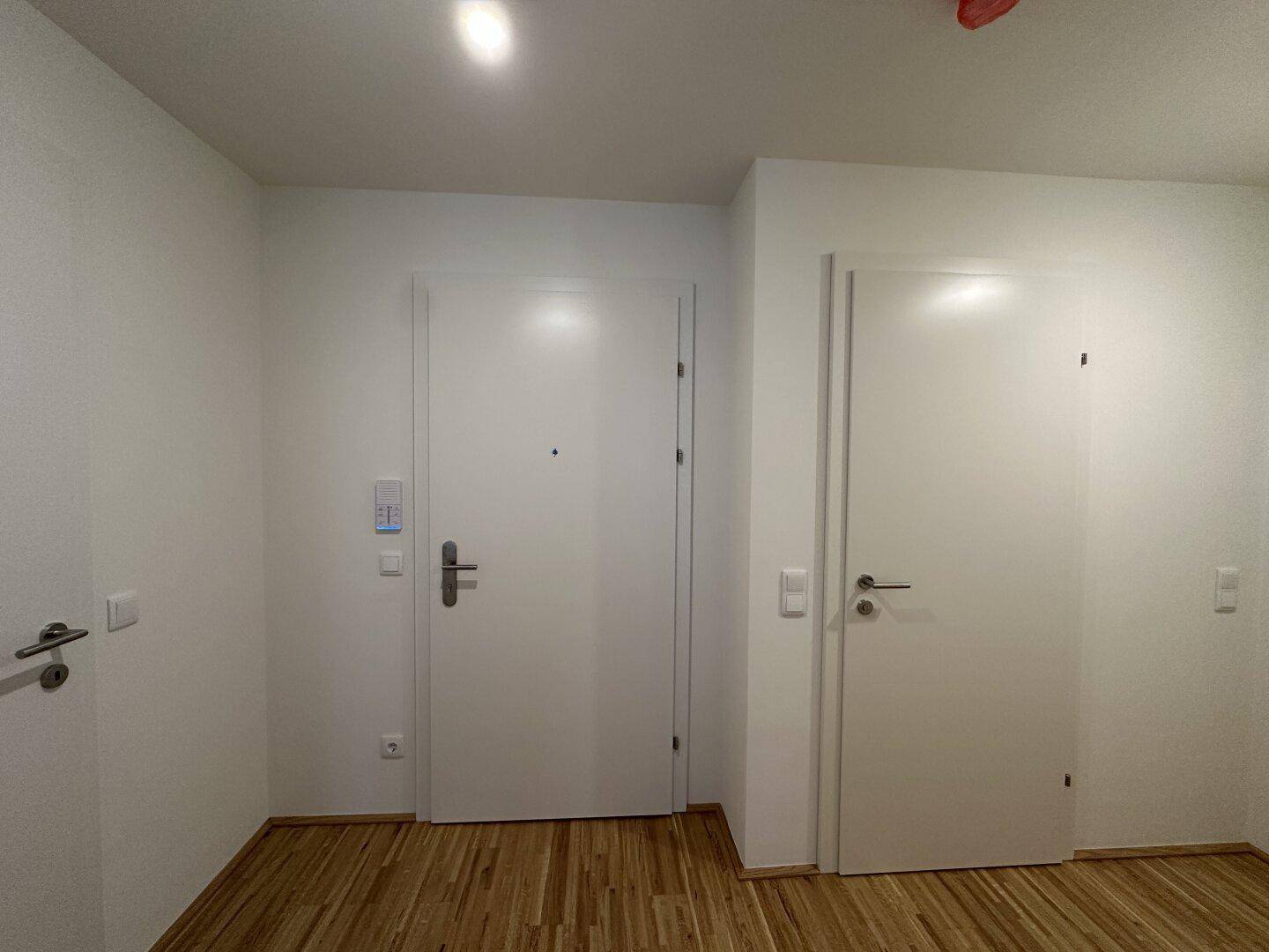 Eingangsbereich mit Parkettboden und zwei weißen Türen, eine davon die Wohnungstür.