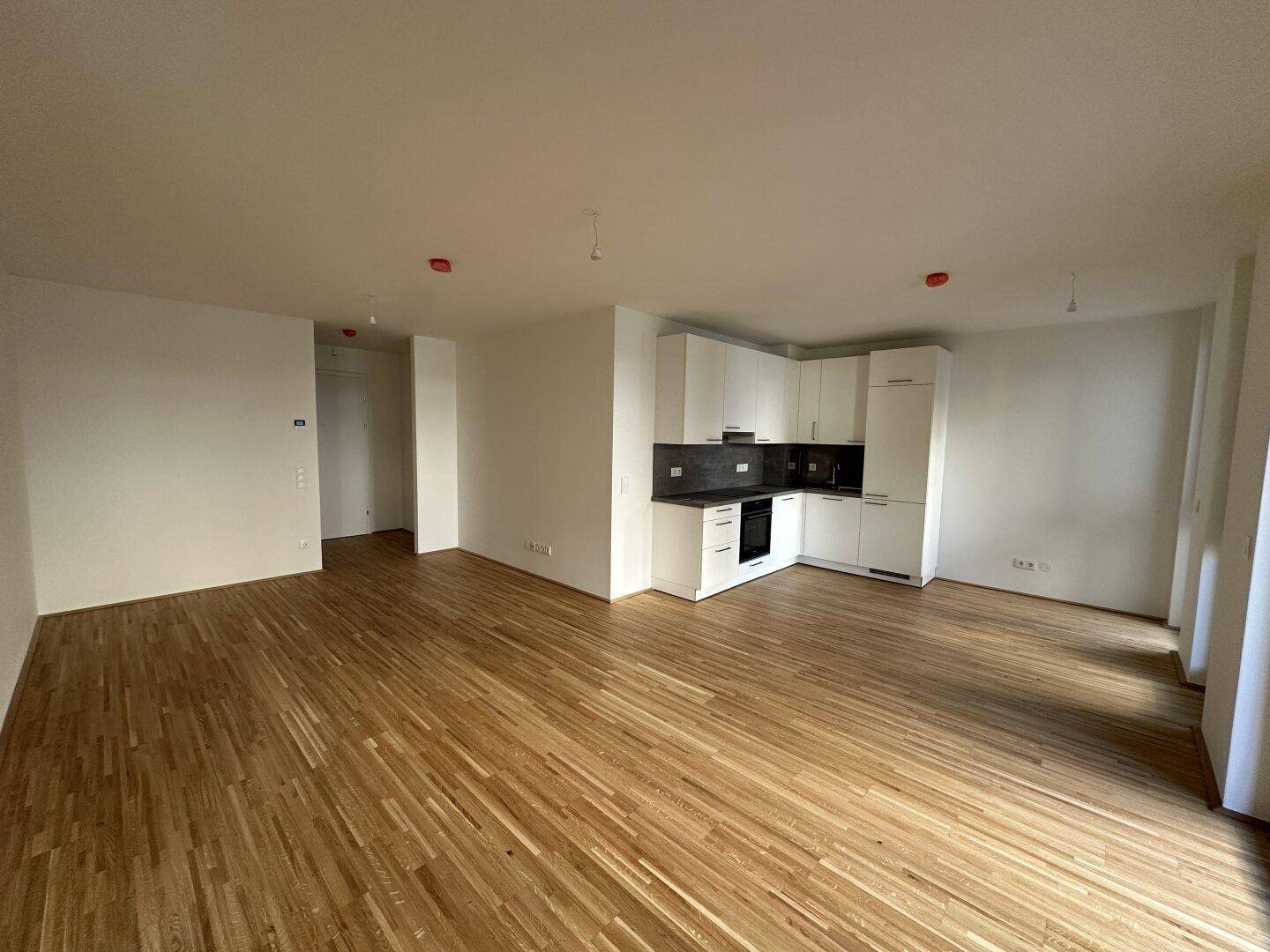 Geräumiger offener Wohnbereich mit Holzboden und viel Tageslicht, ideal für moderne Wohnkonzepte.