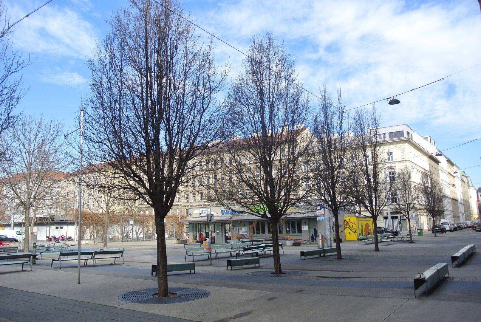 Weitläufiger Stadtplatz mit kahlen Bäumen und Gebäuden im Hintergrund unter blauem Himmel.