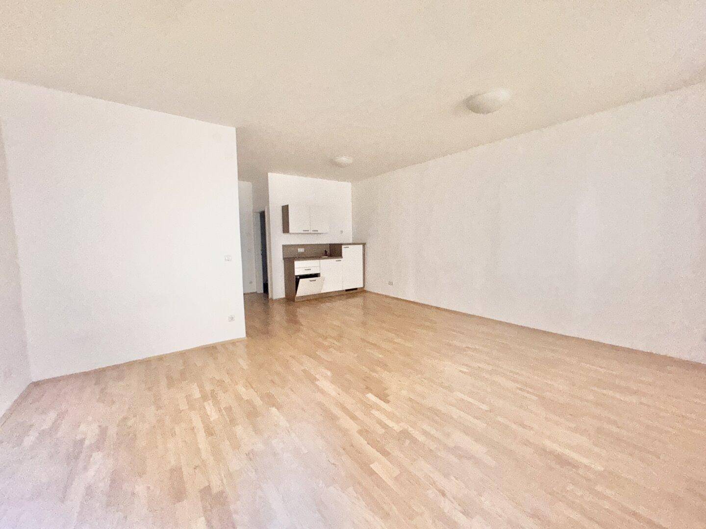 Helles Wohnzimmer mit Parkettboden und integrierter Küchenzeile in modernem Stil.