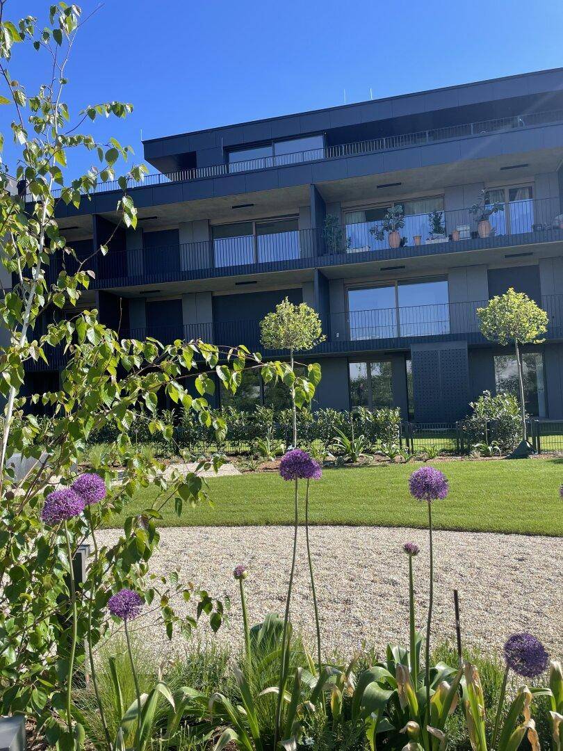 Gepflegter Gartenbereich mit lila Zierlauch und Rasenfläche vor einem modernen Apartmentgebäude mit Balkonen.