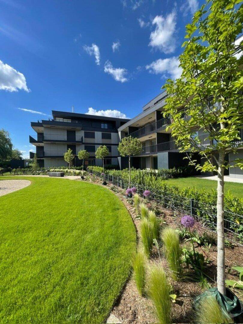 Gepflegte Gartenanlage mit Rasenflächen, Bäumen und Blumen vor den modernen Wohngebäuden.