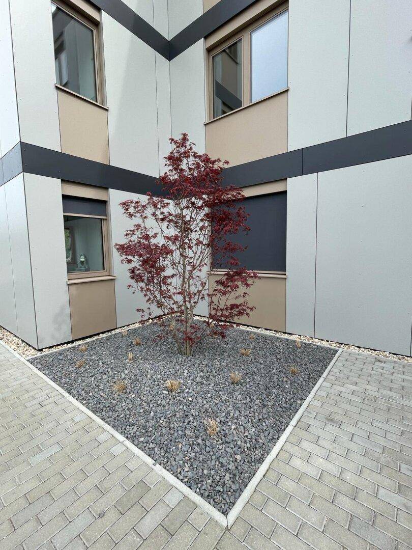 Gebäudeecke mit moderner Fassade, kleinen Fenstern und einem dekorativen Baum in einem Kiesbeet.
