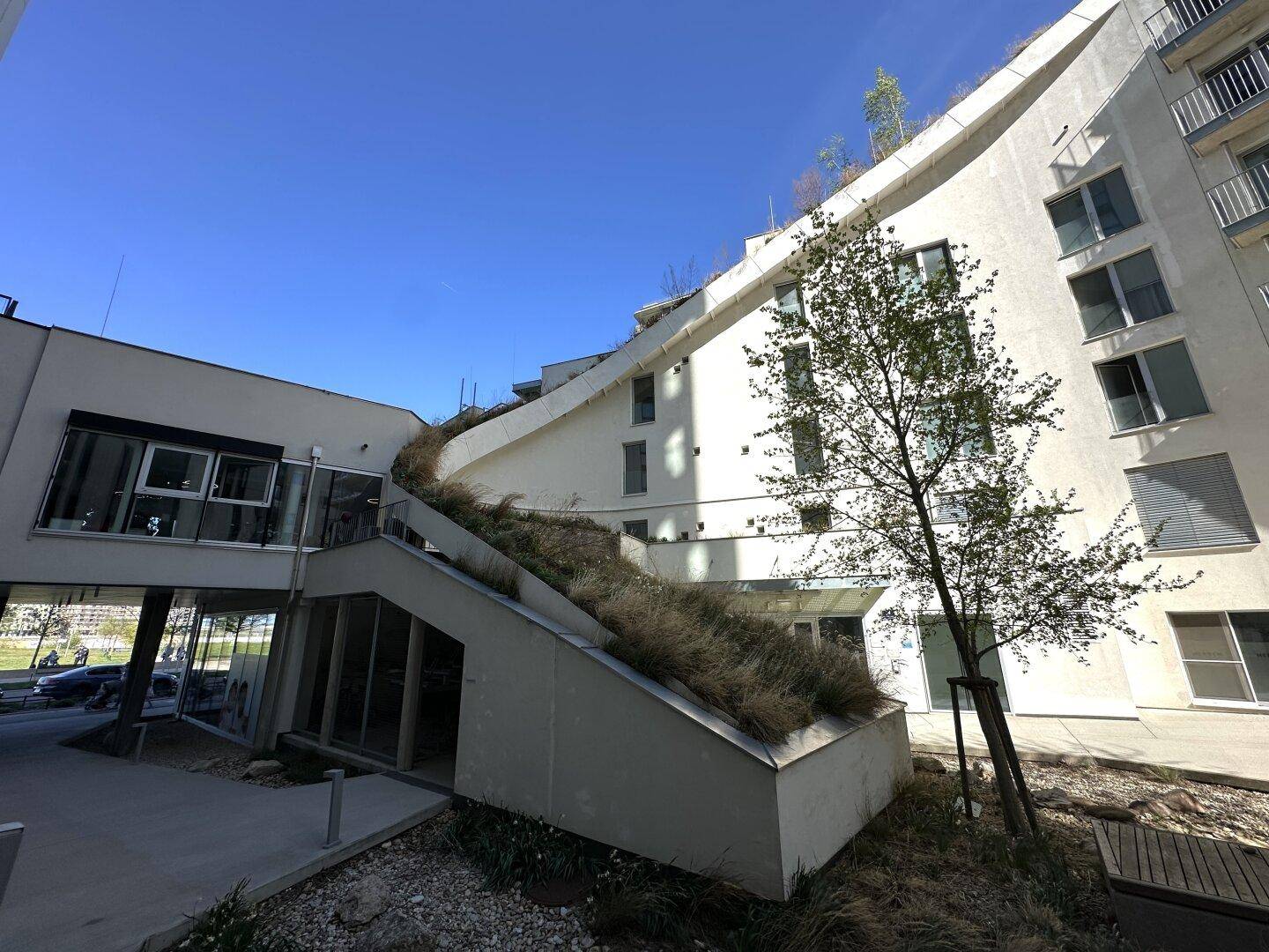 Architektonisch interessantes Gebäude mit begrüntem Dach und geschwungener Rampe.