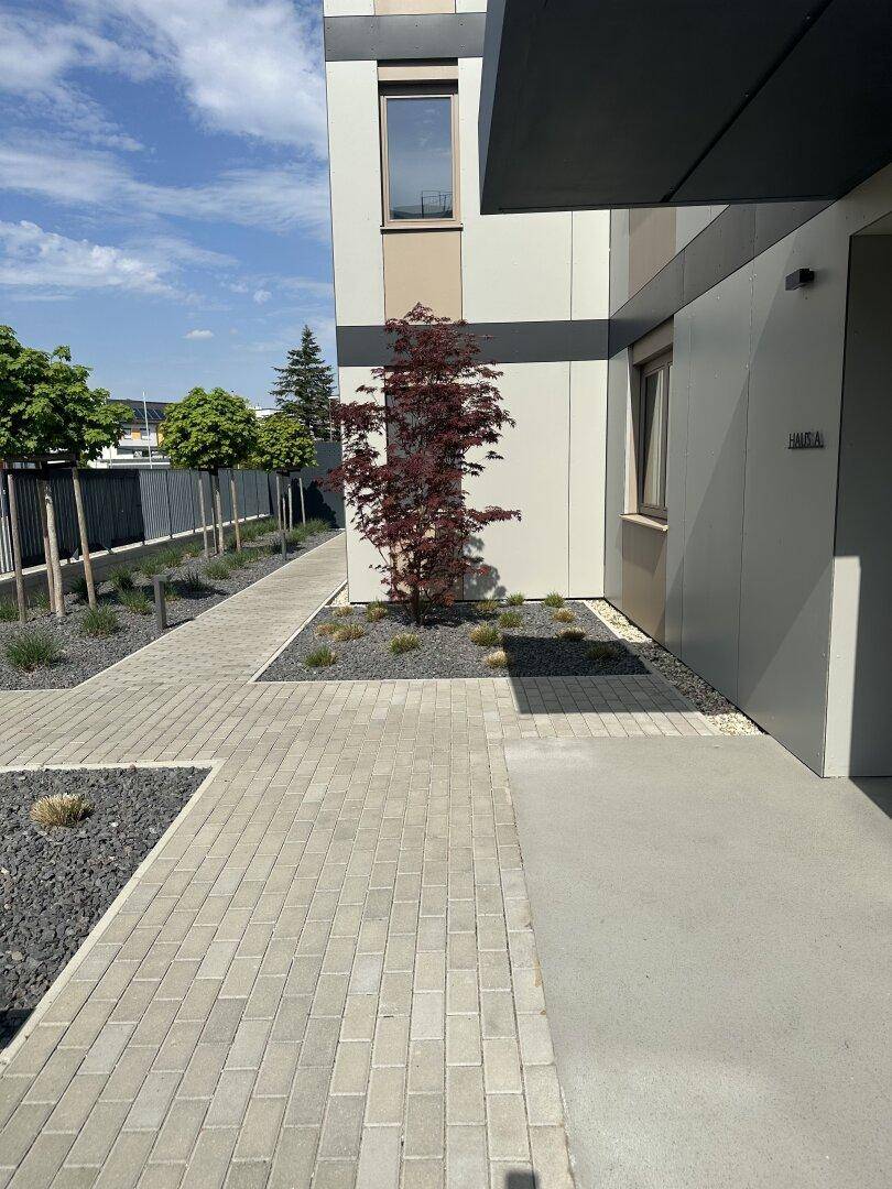 Eingangsbereich eines modernen Gebäudes mit gepflasterten Wegen und dekorativen Pflanzen.
