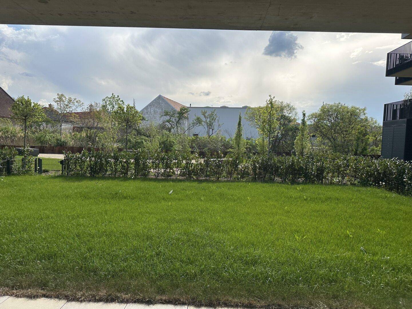 Blick in den eigenen Garten