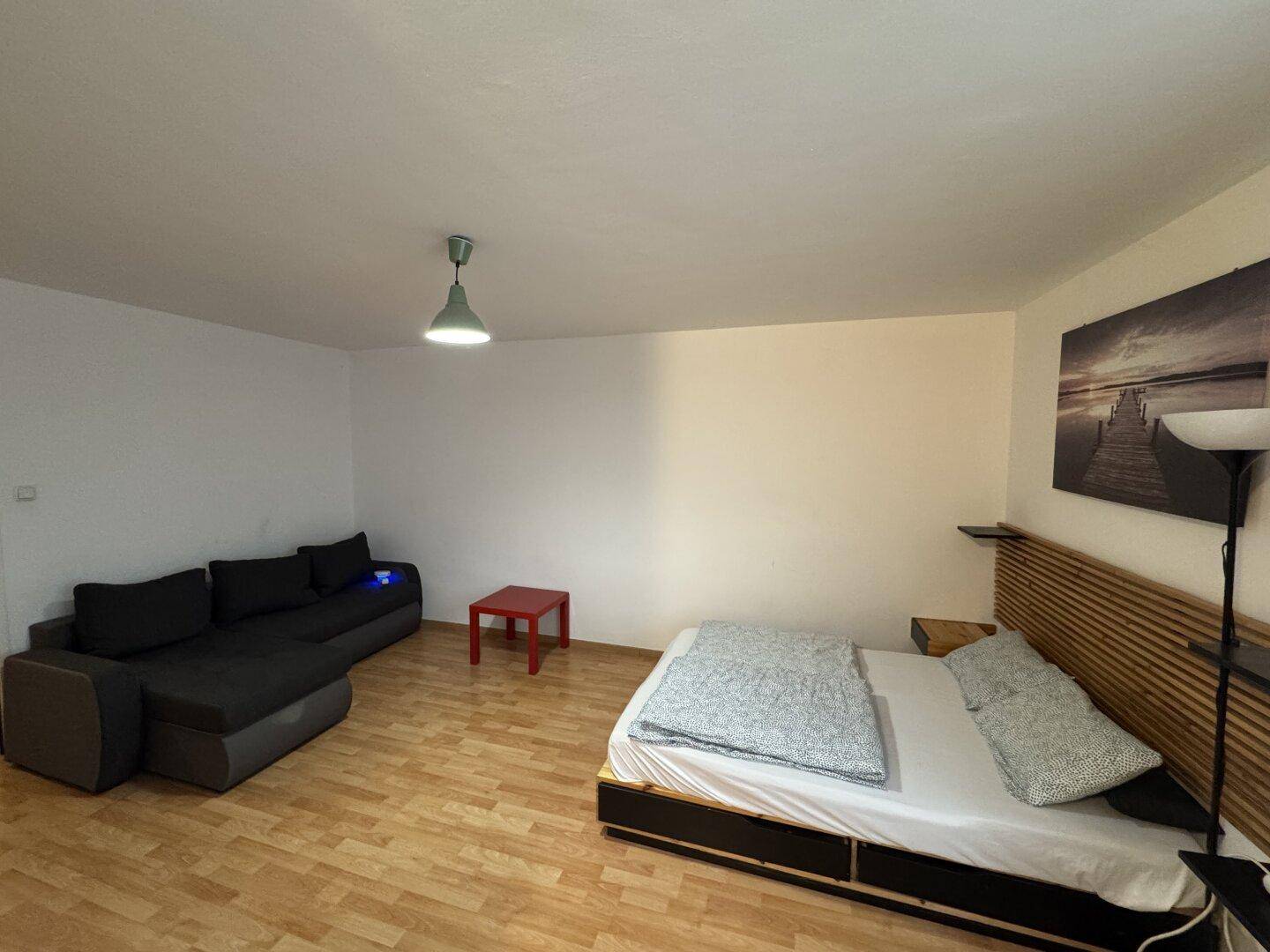 Gemütlicher Wohnbereich mit Sofa und Bett in einem offenen Studio-Layout.