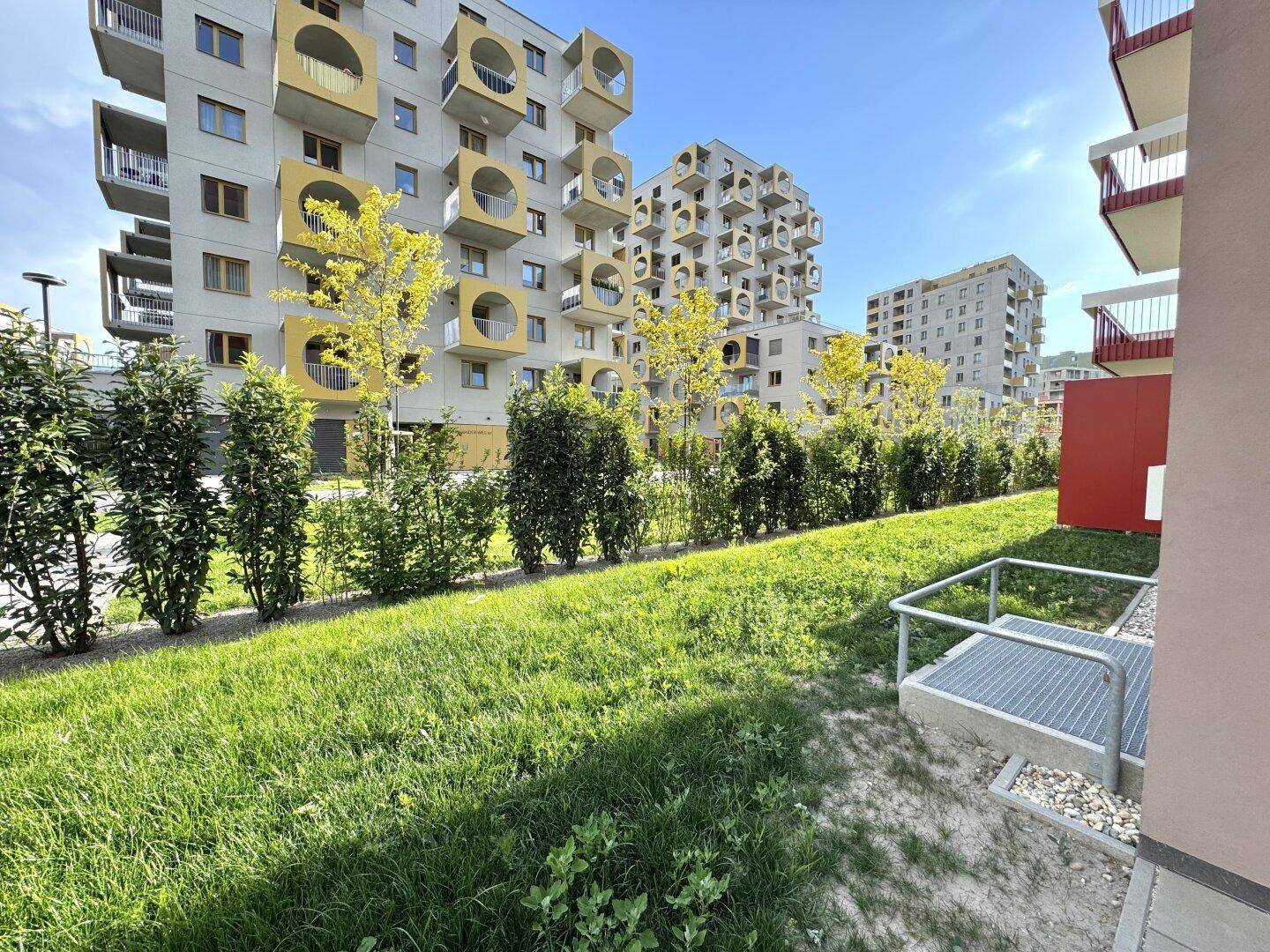 Grüne Gartenfläche im Erdgeschoss mit Hecke und modernen Wohngebäuden im Hintergrund.