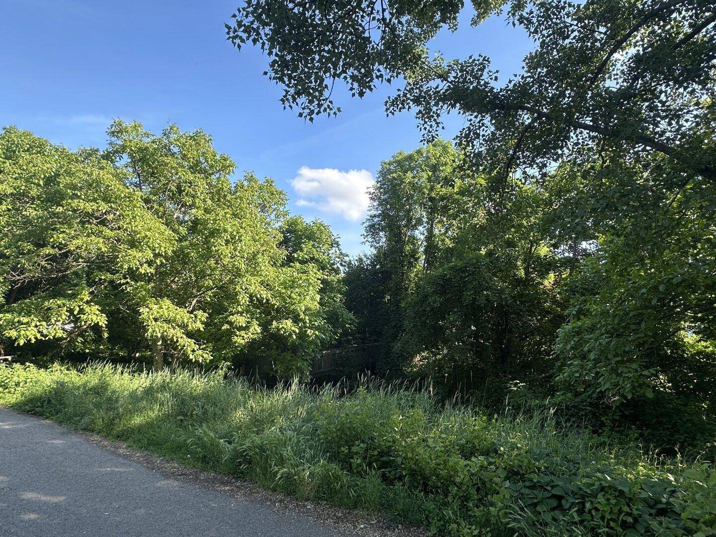 Blick in den Park gegenüber