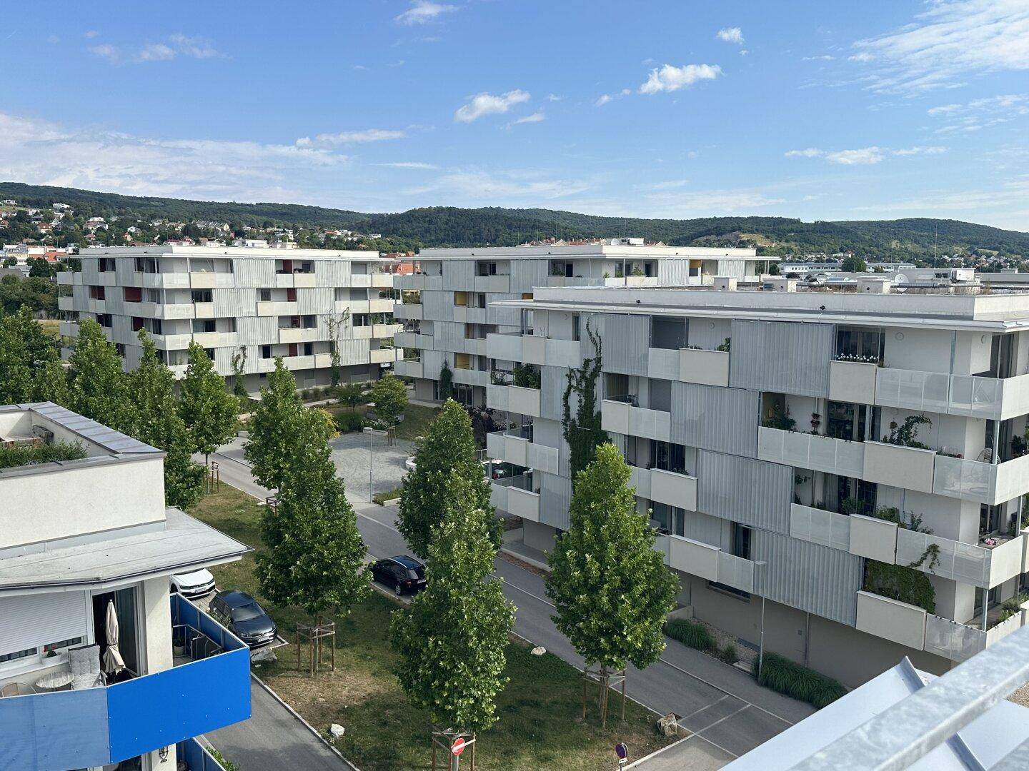 Ausblick
