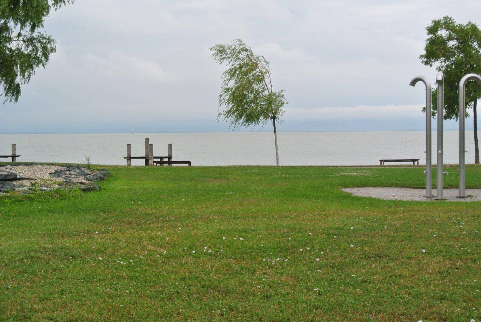 Neusiedler See