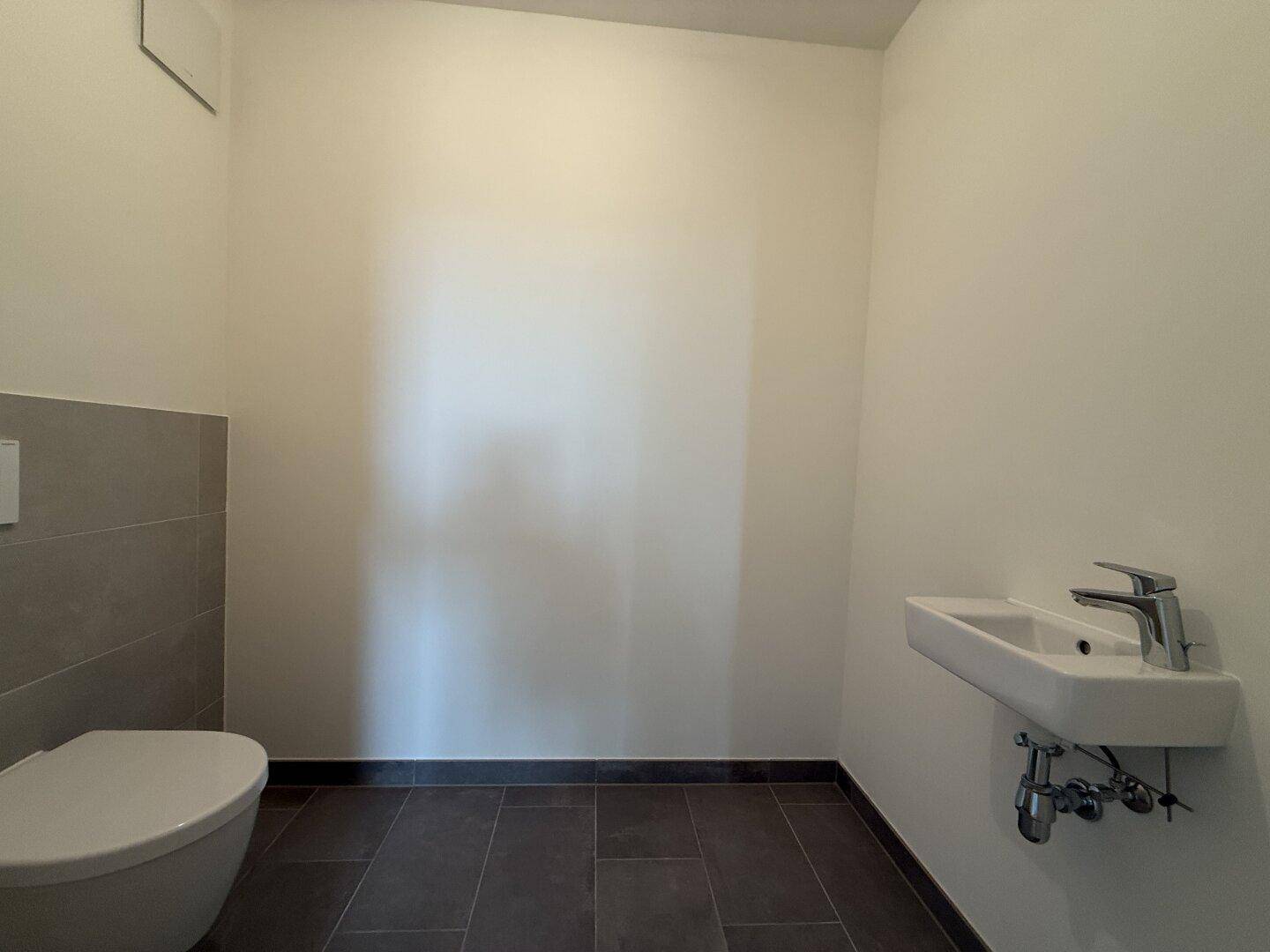 Modernes Gäste-WC mit Wand-WC, Waschbecken und dunklen Fliesen.
