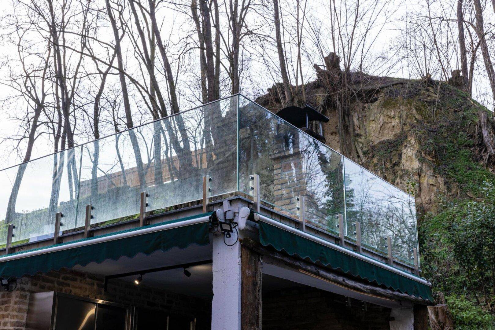 Glasgeländer einer oberen Terrasse mit Blick auf den bewaldeten Hang und den Außenkamin.