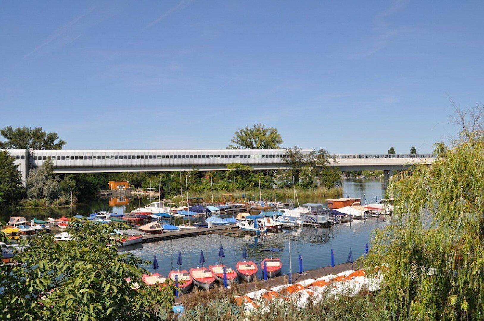 Ein belebter Bootsanleger mit vielen kleinen Booten und einer Brücke im sonnigen Hintergrund.
