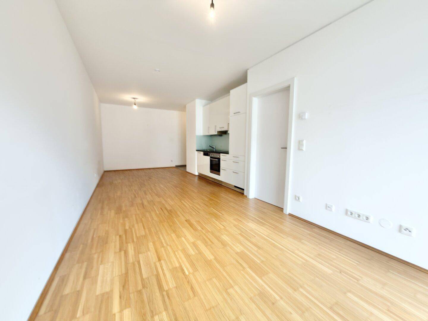 Geräumiger offener Wohnbereich mit Holzboden und integrierter Küchenzeile, ideal für modernes Wohnen.