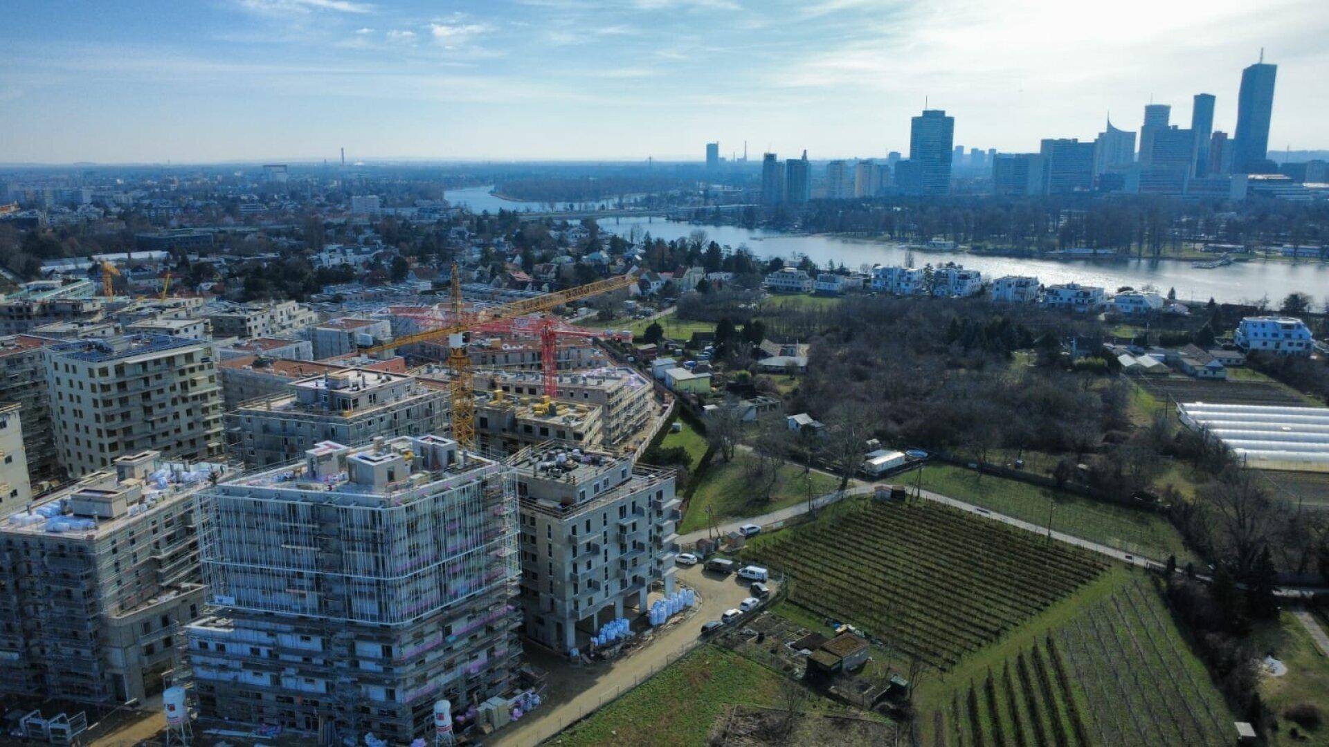 Luftbild einer Neubausiedlung mit Kränen, umgeben von Grünflächen und der Stadt im Hintergrund.