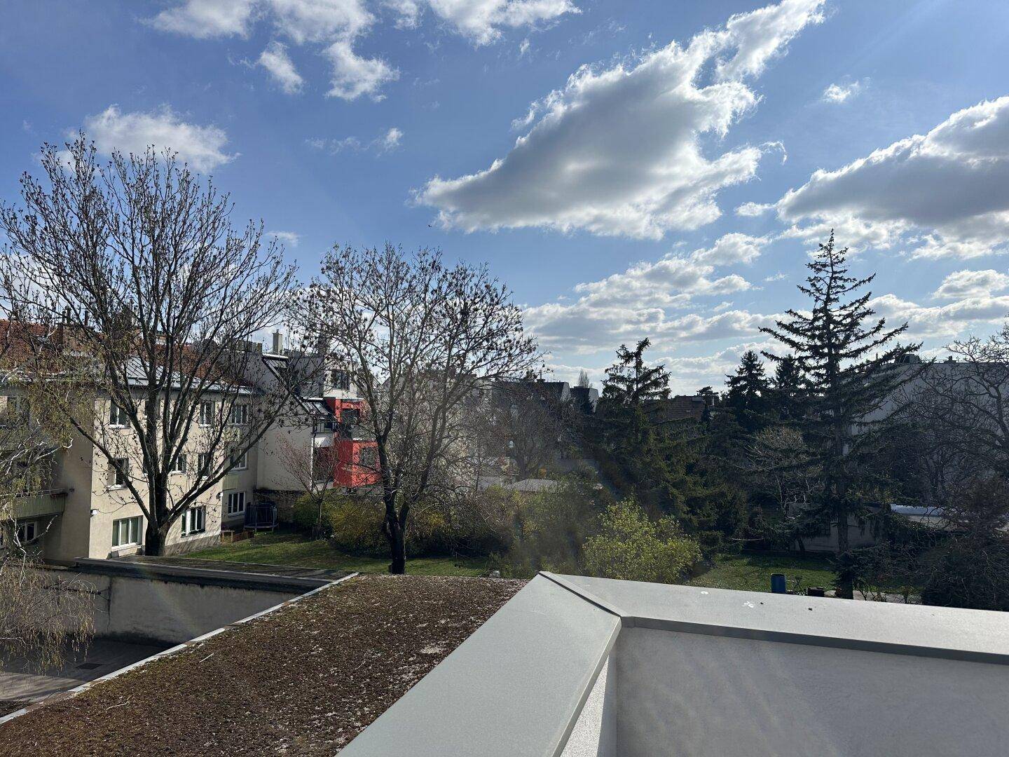 Weitblick über ein begrüntes Dach auf Bäume und Wohngebäude in der Ferne unter einem sonnigen Himmel.