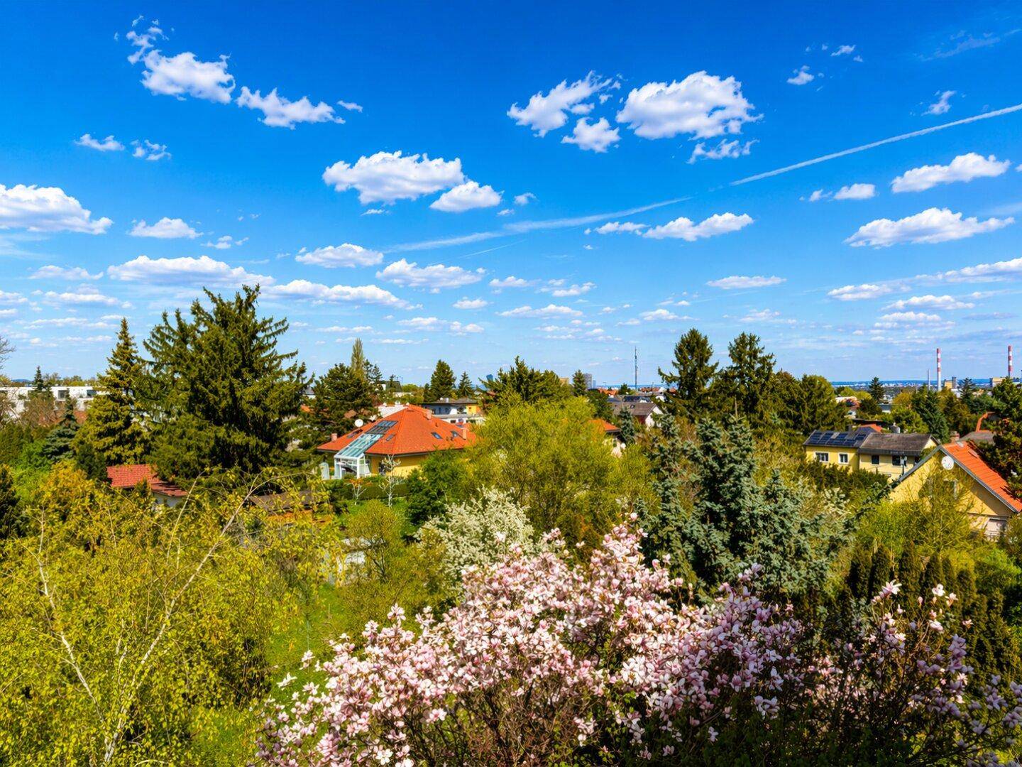 Weitläufiger Blick über eine grüne Wohngegend mit blühenden Bäumen und Häusern unter blauem Himmel.