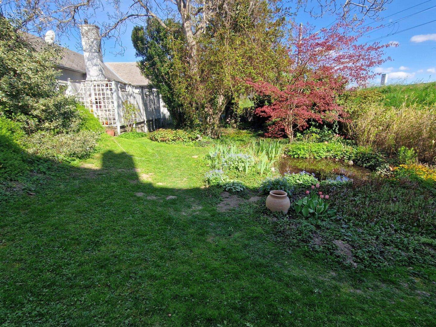 Ruhiger Garten mit einem kleinen Teich, umgeben von Rasenflächen und verschiedenen Pflanzen unter blauem Himmel.