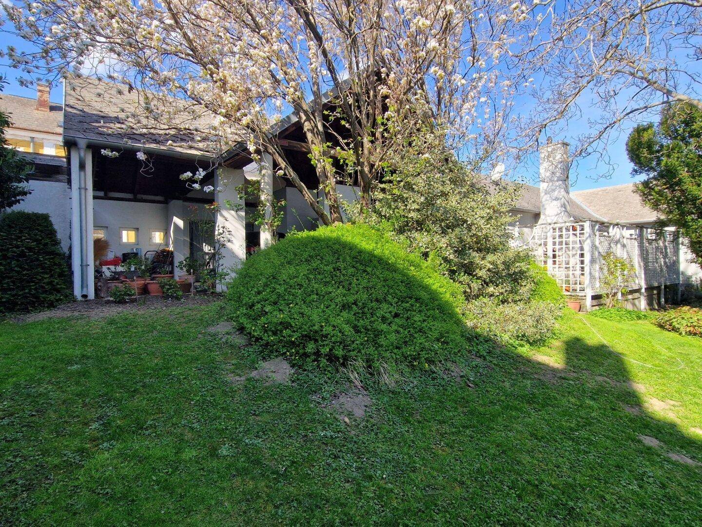 Gepflegter Gartenbereich mit Rasenfläche, blühenden Bäumen und einem überdachten Sitzplatz am Haus.