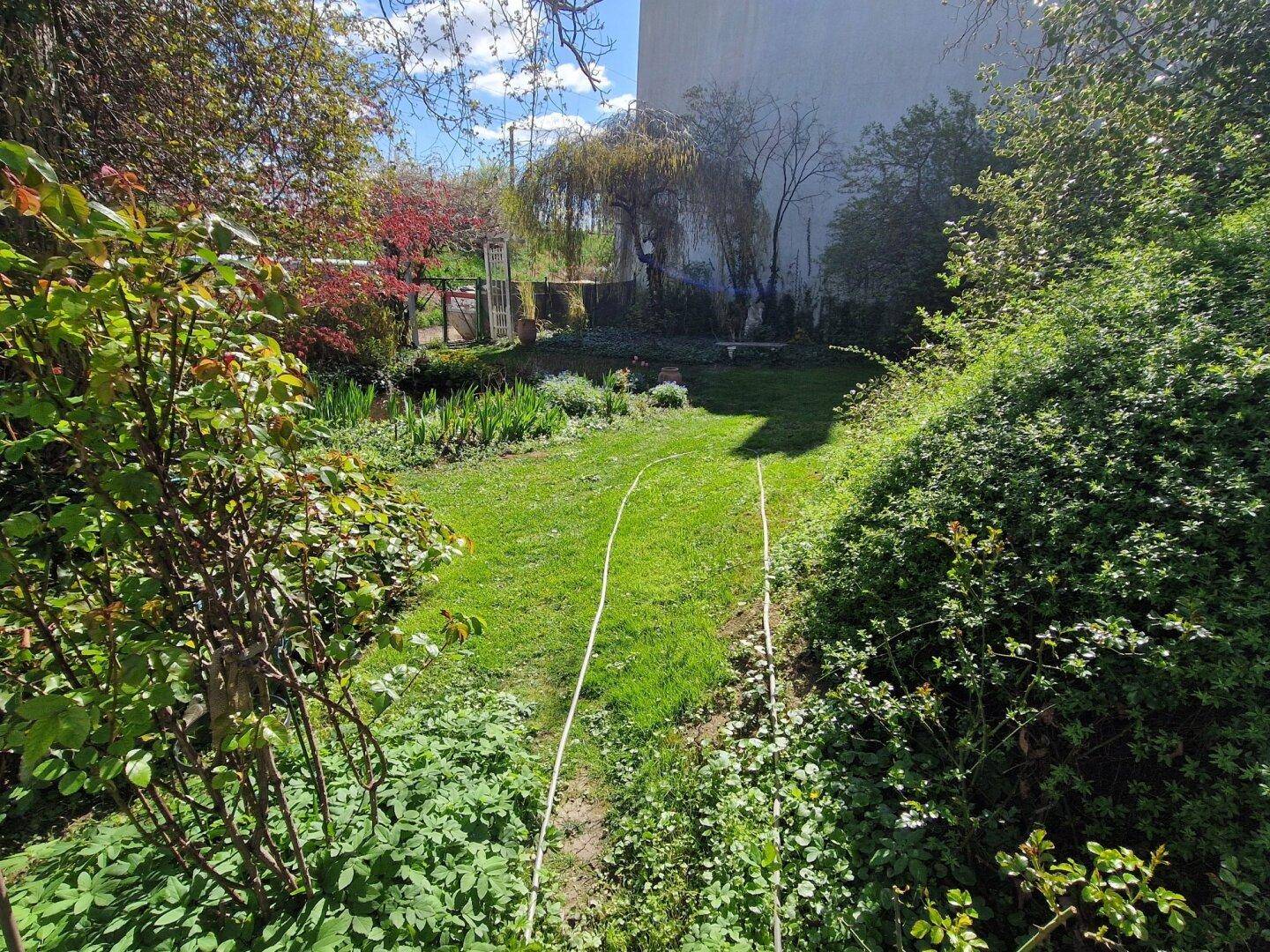 Langer, schmaler Gartenbereich mit Rasenweg, umgeben von Sträuchern und Bäumen unter blauem Himmel.