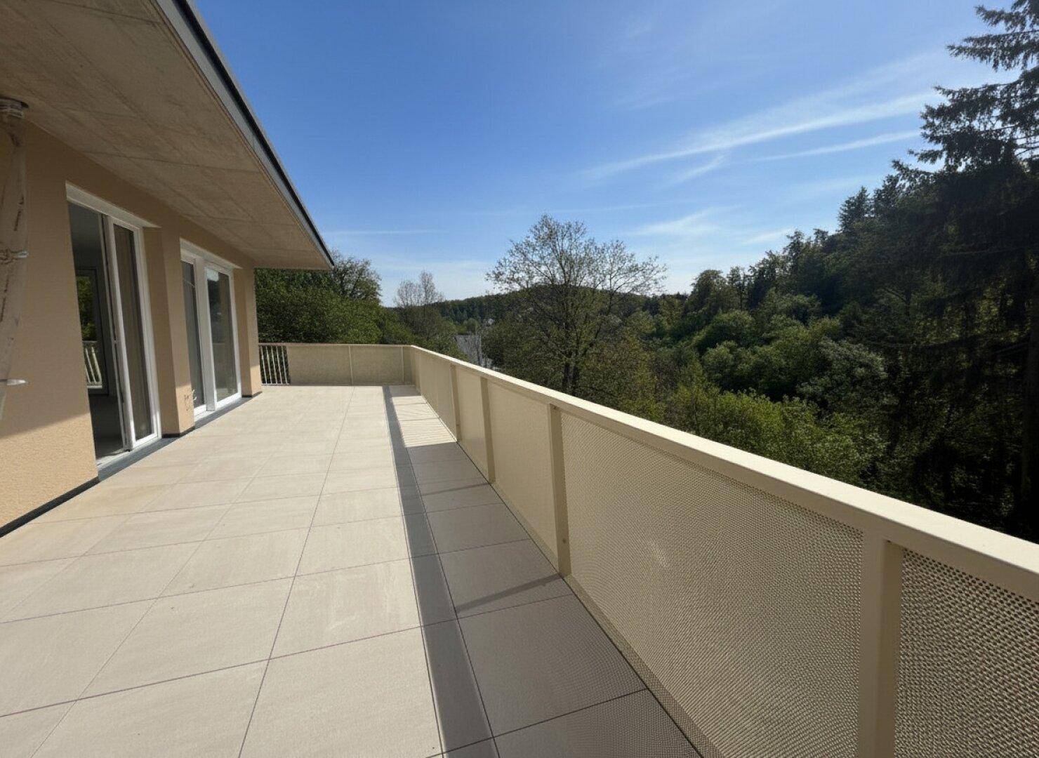 Weitläufige Terrasse mit modernem Geländer und Panoramablick auf die umliegende Natur.