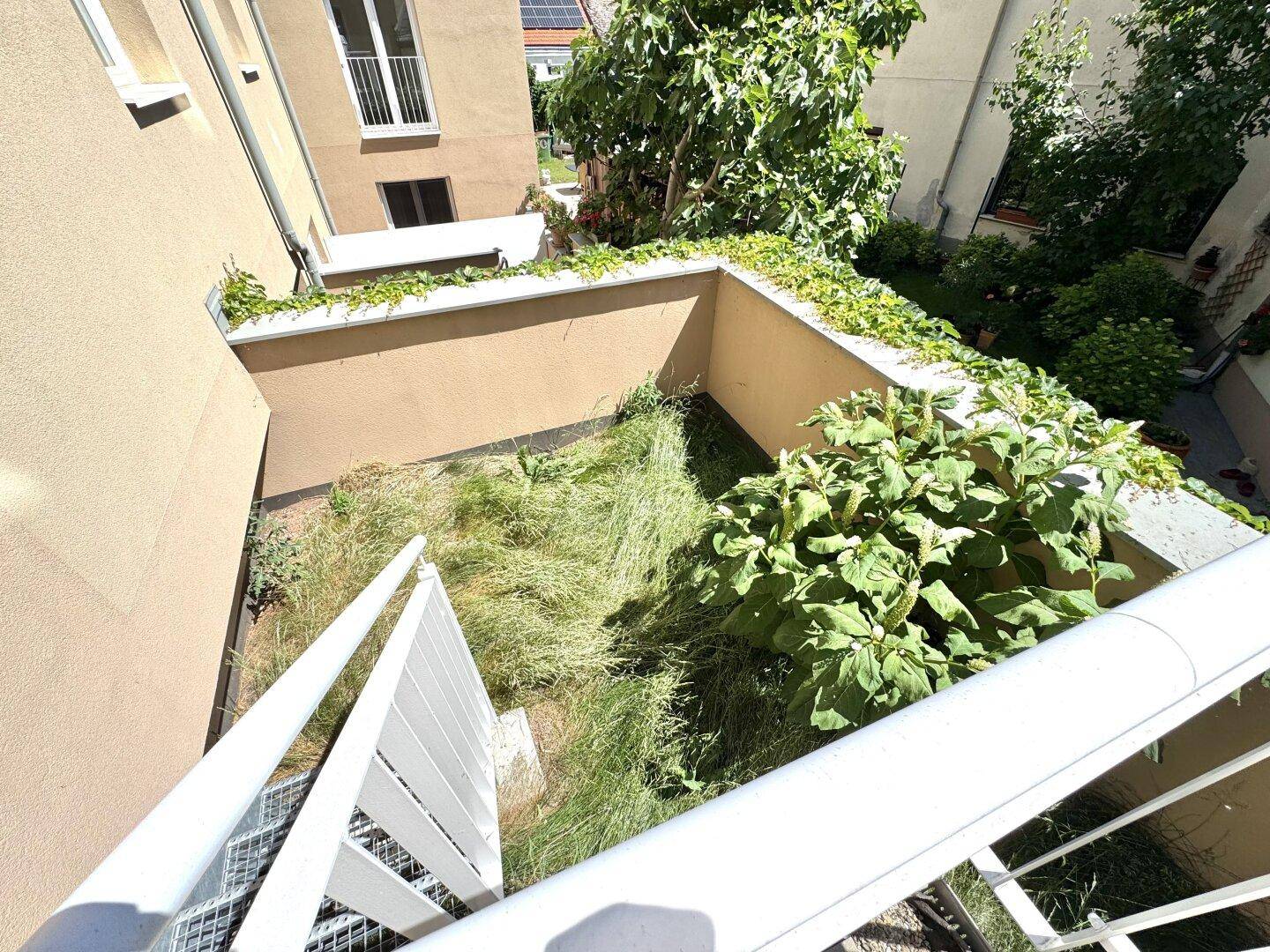 Kleiner, begrünter Gartenbereich von oben gesehen, umgeben von Gebäuden.