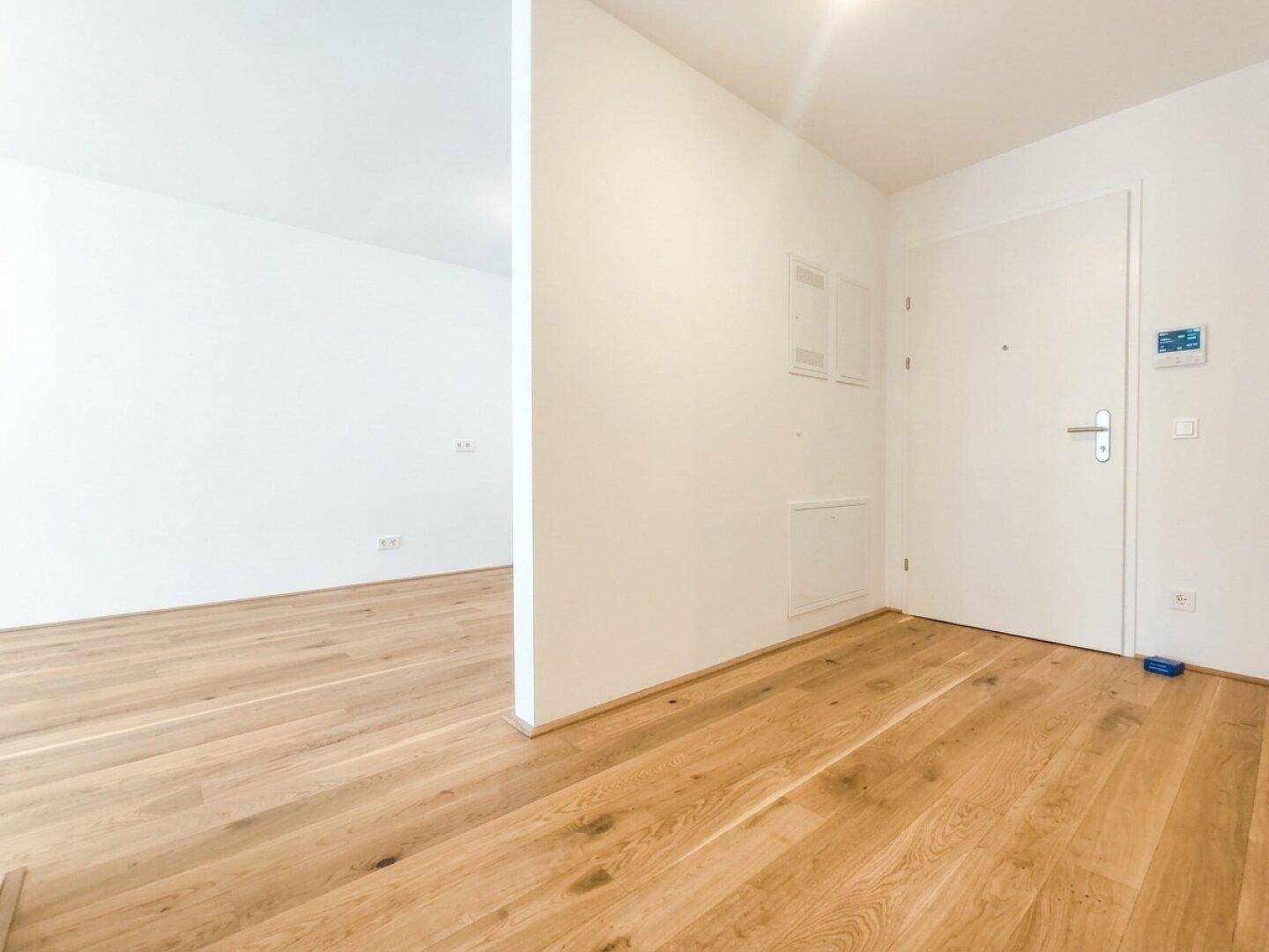 Heller Eingangsbereich mit Holzboden und weiß gestrichenen Wänden, der zu den Wohnräumen führt.