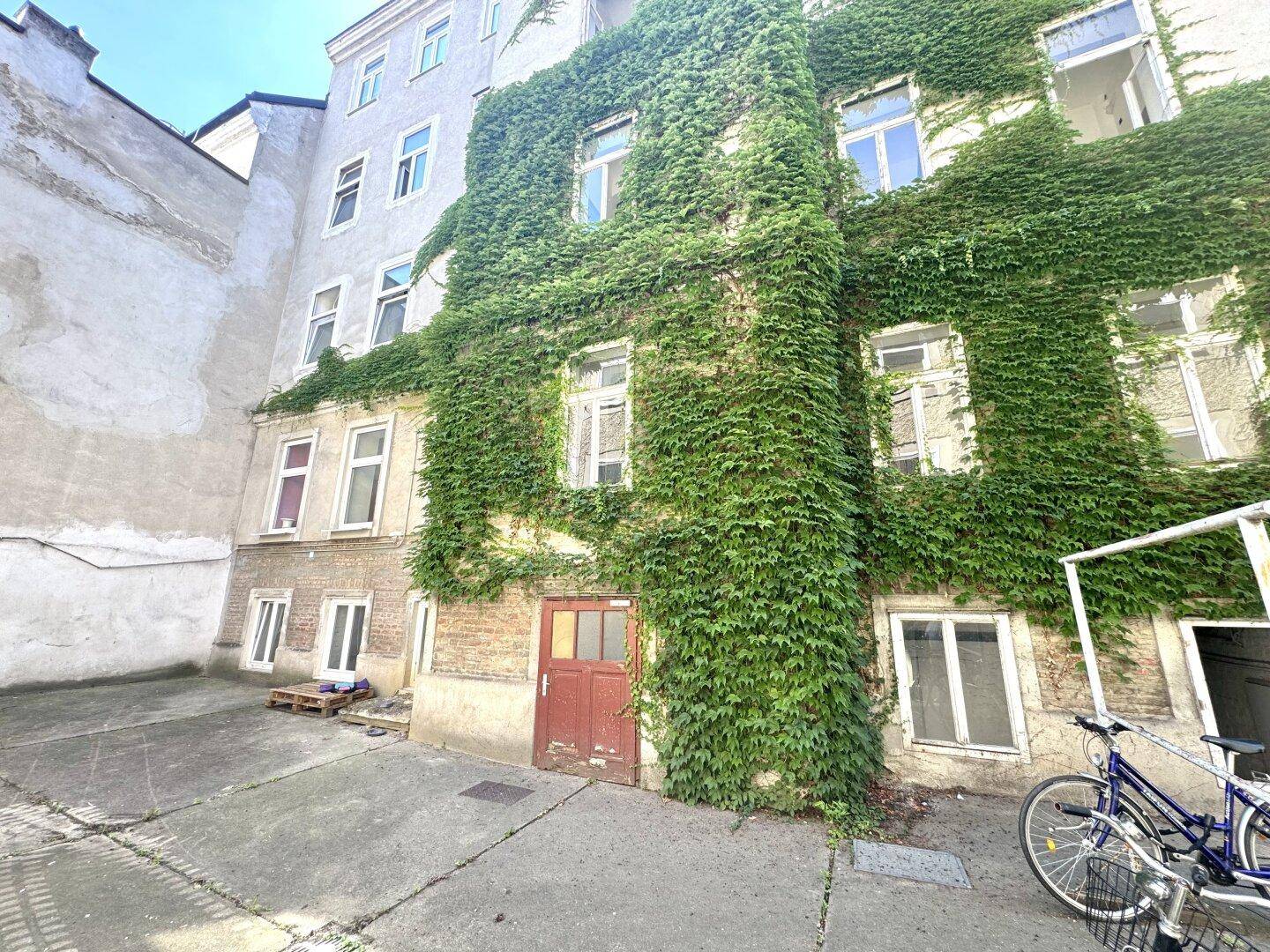 Innenhof eines Altbaus mit stark bewachsenen Fassaden und Fahrradabstellplatz.