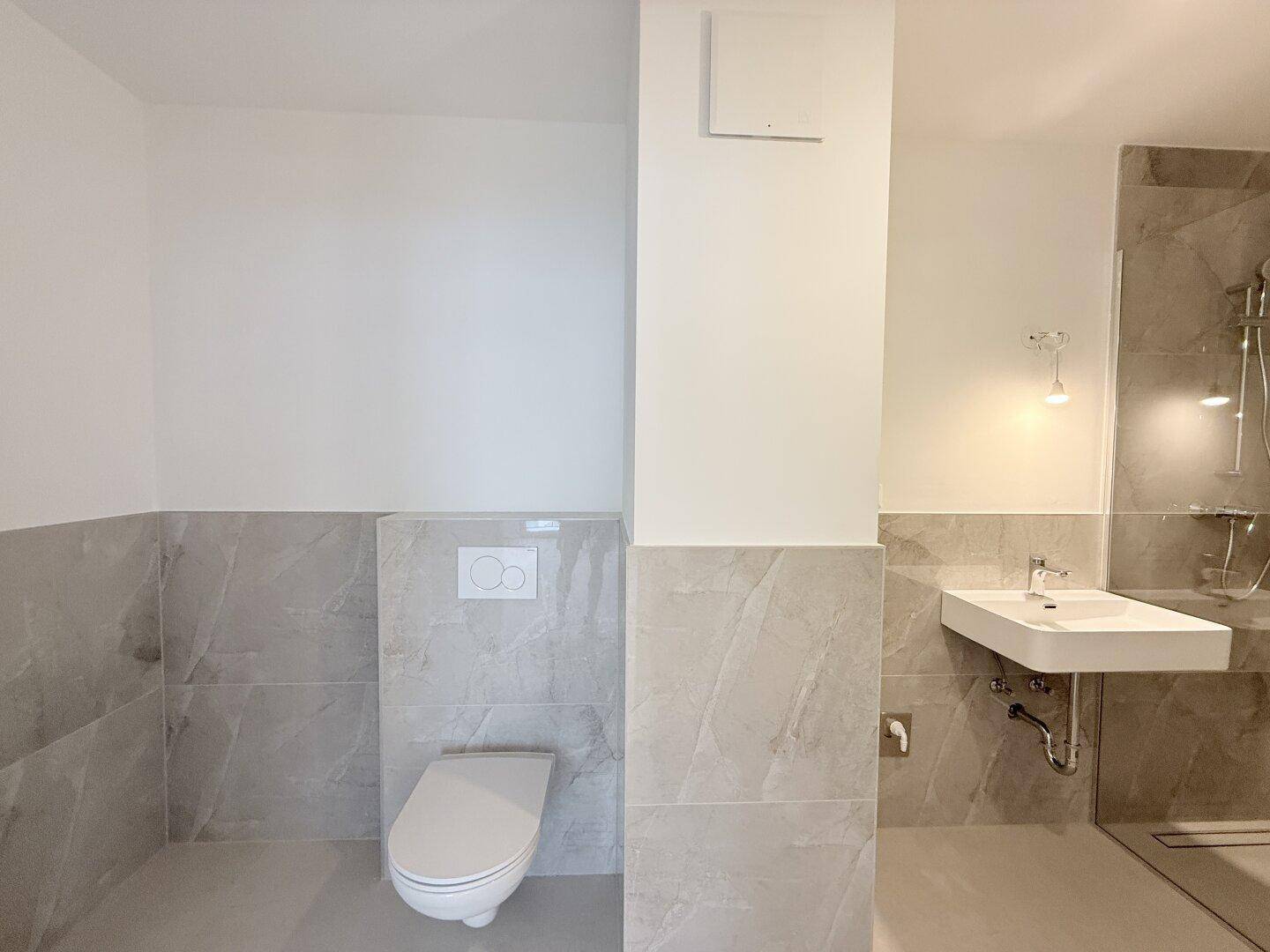 Modernes Badezimmer mit grauen Fliesen, wandhängendem WC und stilvollem Waschbecken.