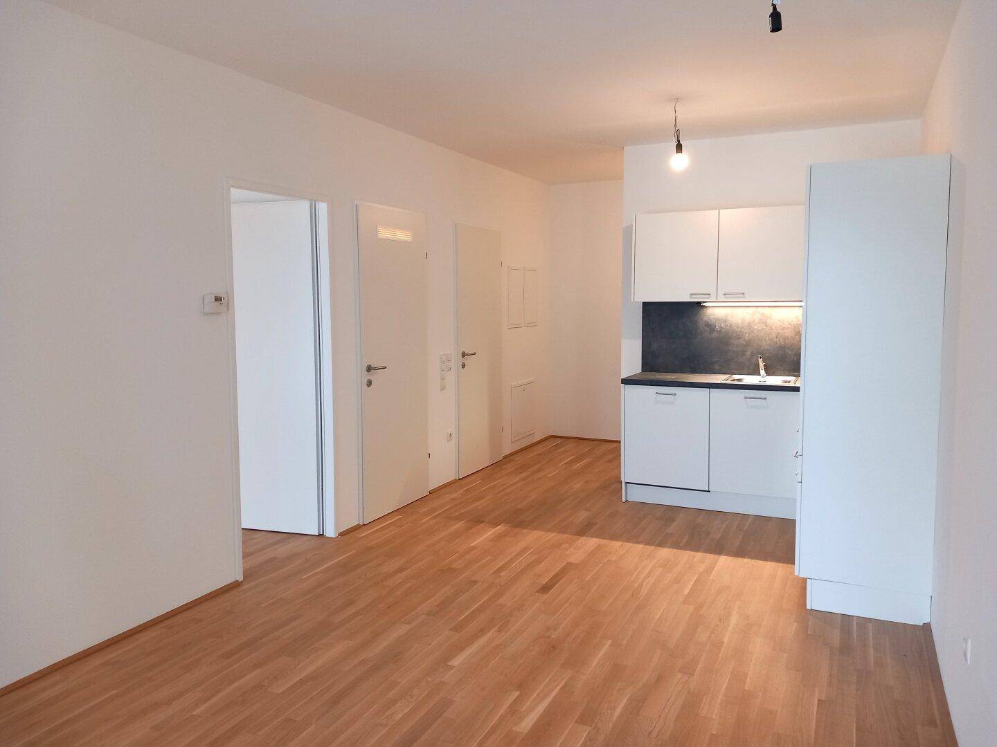Offener Wohnbereich mit integrierter Küche und Zugang zu weiteren Zimmern, ausgestattet mit Parkettboden.