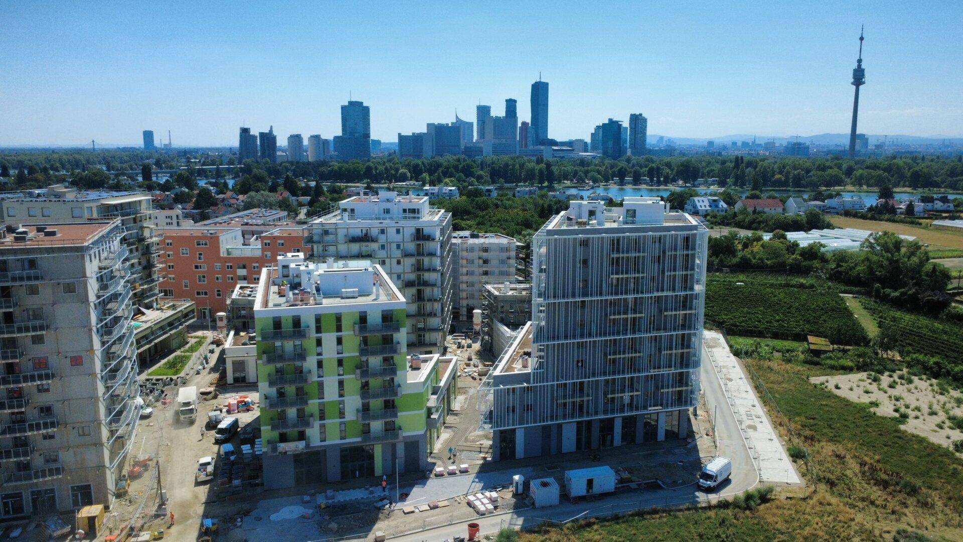 Übersicht über ein Neubaugebiet mit modernen Wohnkomplexen und der Wiener Skyline im Hintergrund.