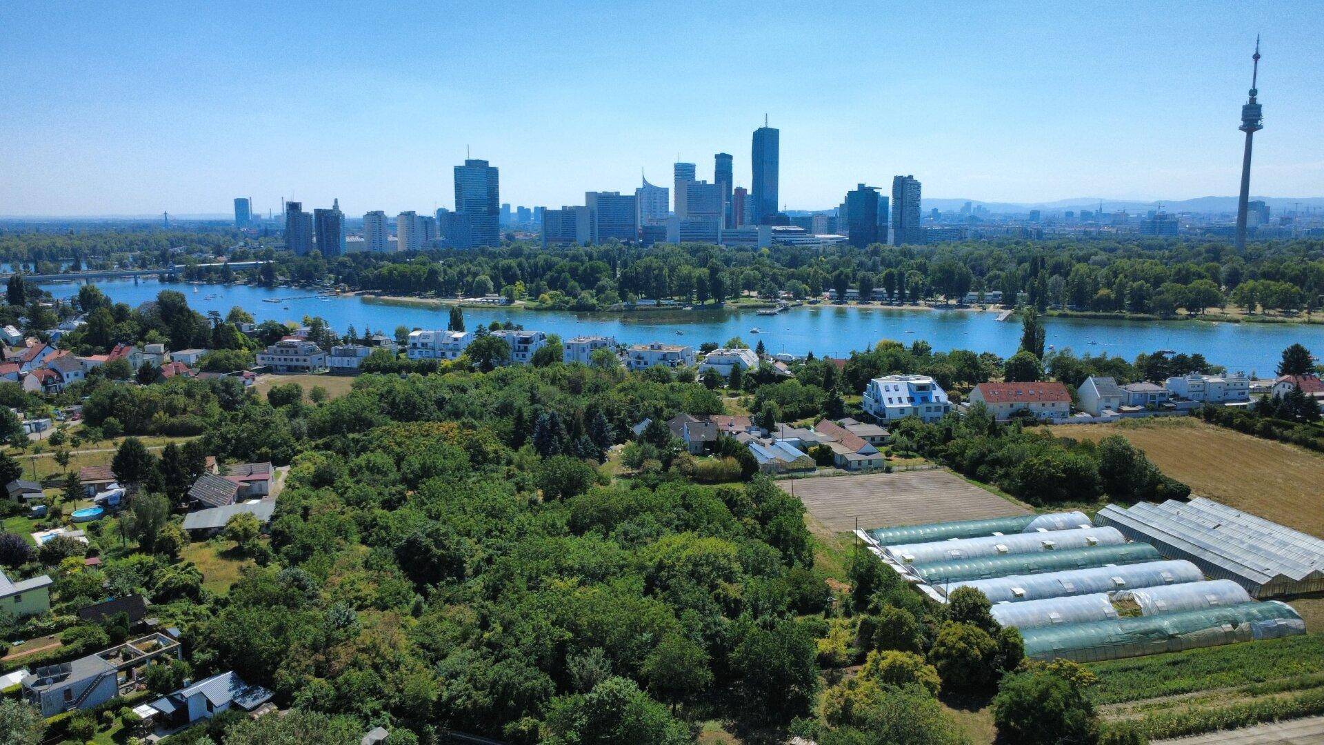 Weitläufige Luftaufnahme einer grünen Landschaft mit Wohnhäusern, Gewächshäusern und Fluss im Hintergrund.