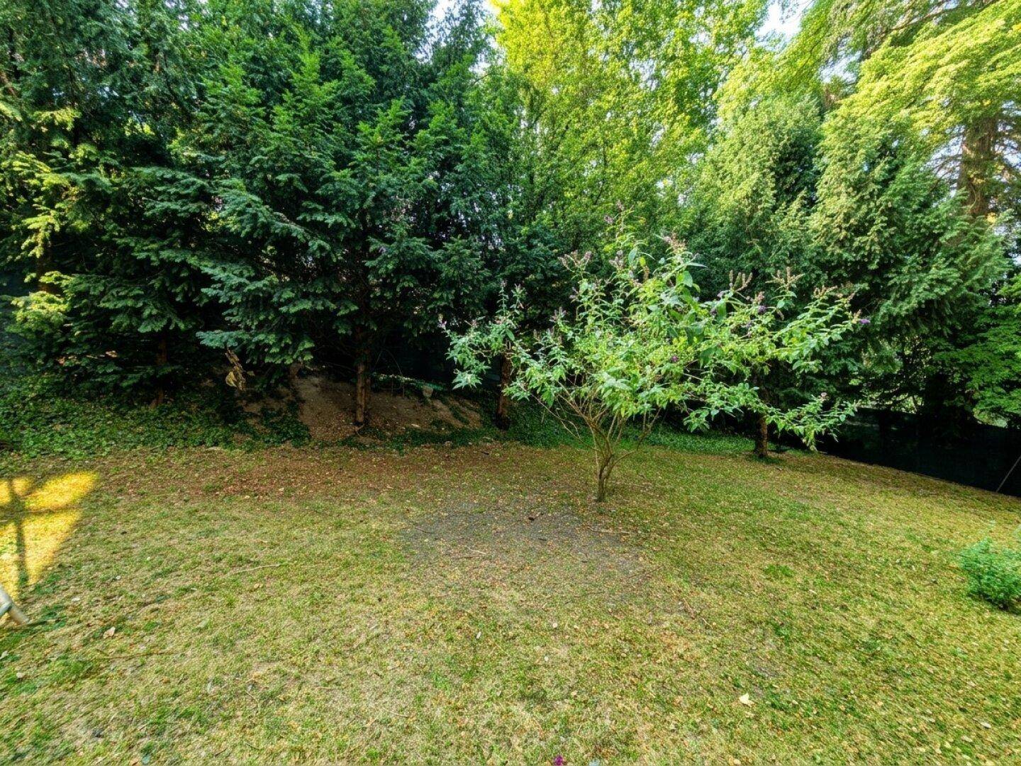 Gepflegter Gartenbereich mit Rasenfläche und altem Baumbestand, bietet viel Privatsphäre.