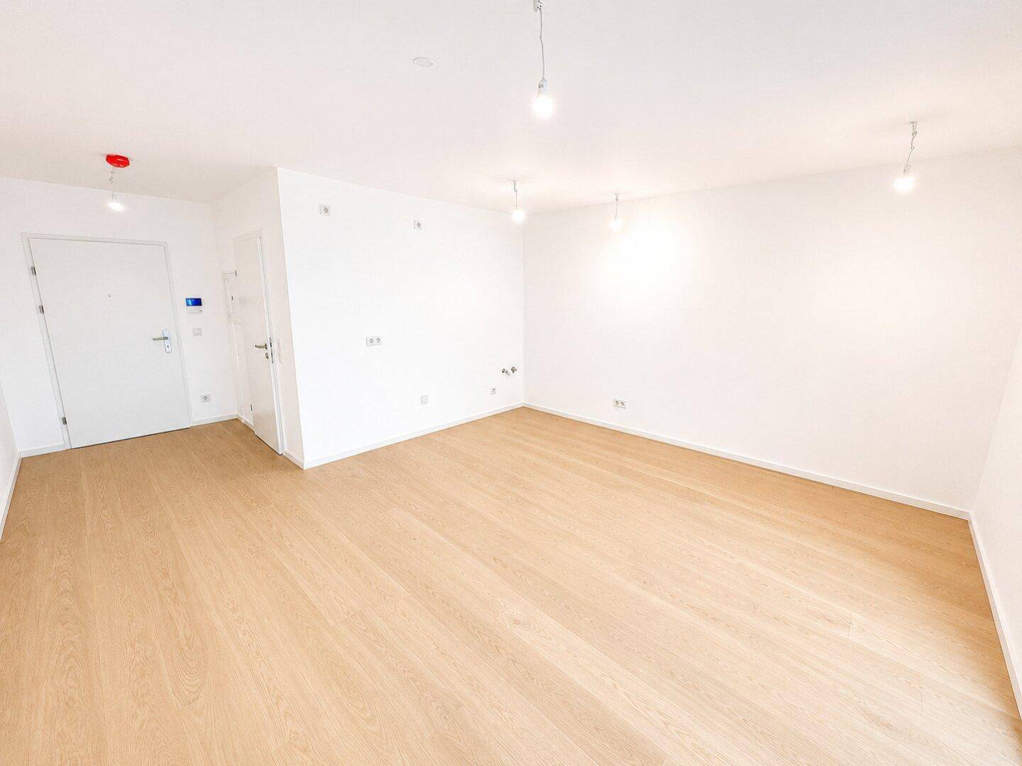 Geräumiger, heller Raum mit Holzboden und einer modernen Eingangstür.