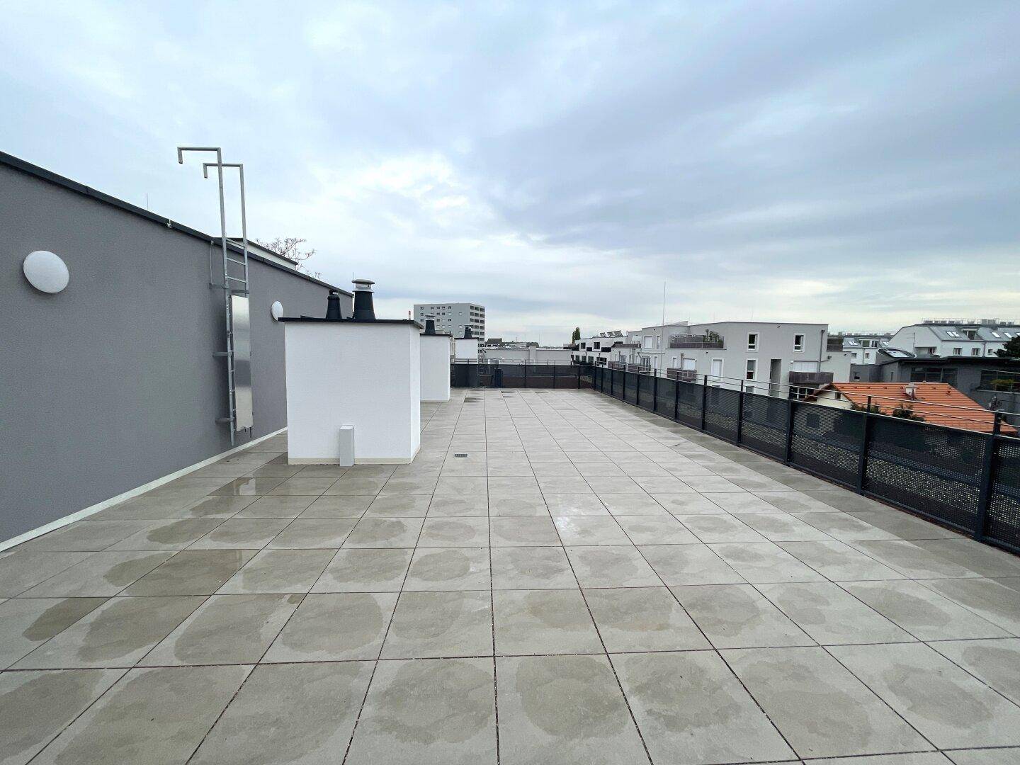 Weitläufige Dachterrasse mit Fliesenboden und einer Leiter an der Gebäudewand.