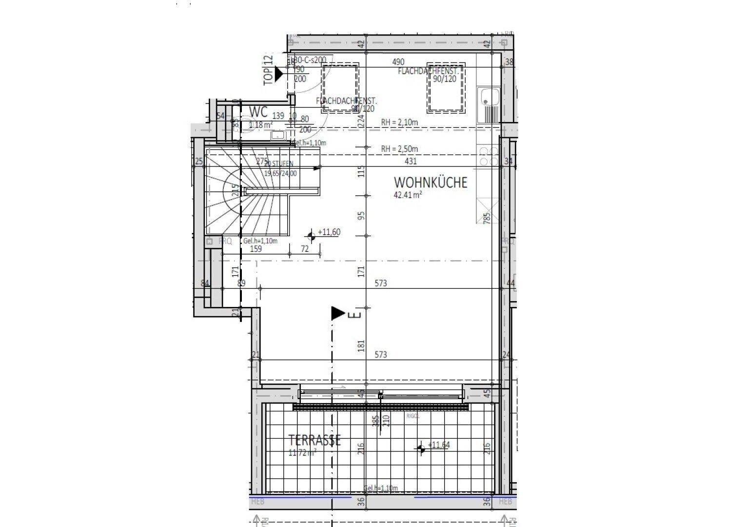 Grundriss zeigt einen offenen Wohnküchenbereich, ein separates WC und eine große Terrasse.