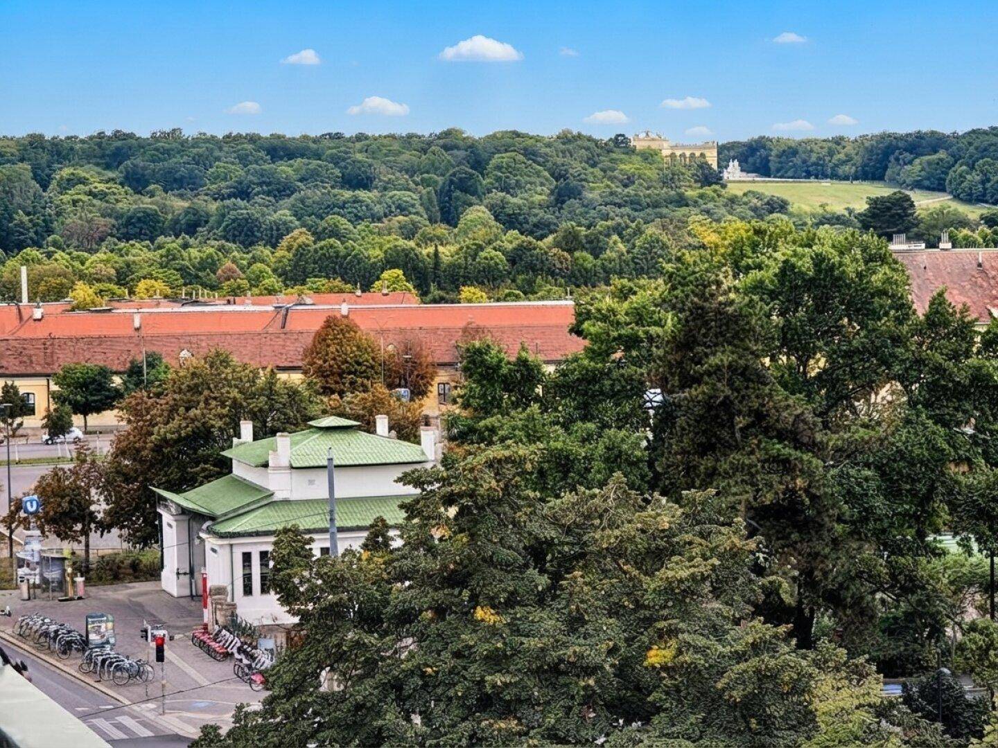 Weitläufiger Blick über grüne Baumwipfel, städtische Gebäude und ein entferntes Schloss.