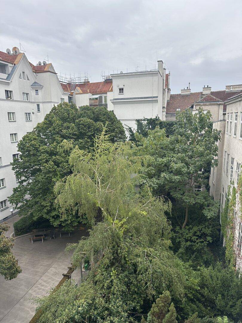 Blick auf einen grünen Innenhof mit alten Bäumen und umliegenden Gebäuden.