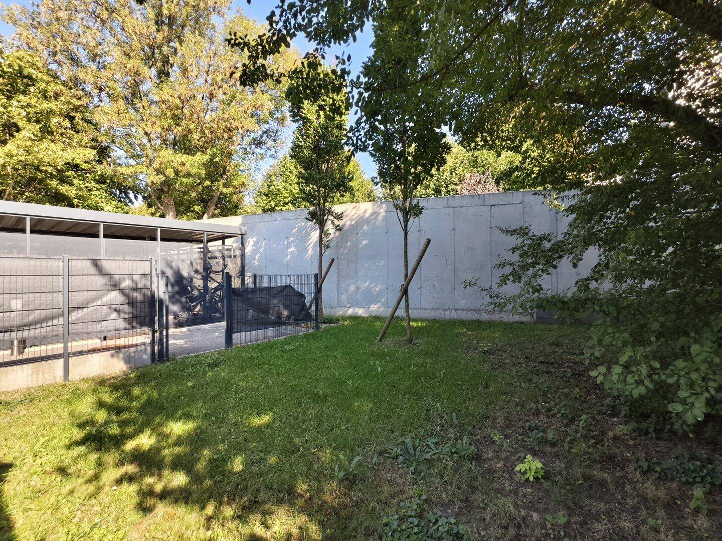 Gepflegter Garten mit Rasen und Bäumen, ideal für Entspannung im Freien.