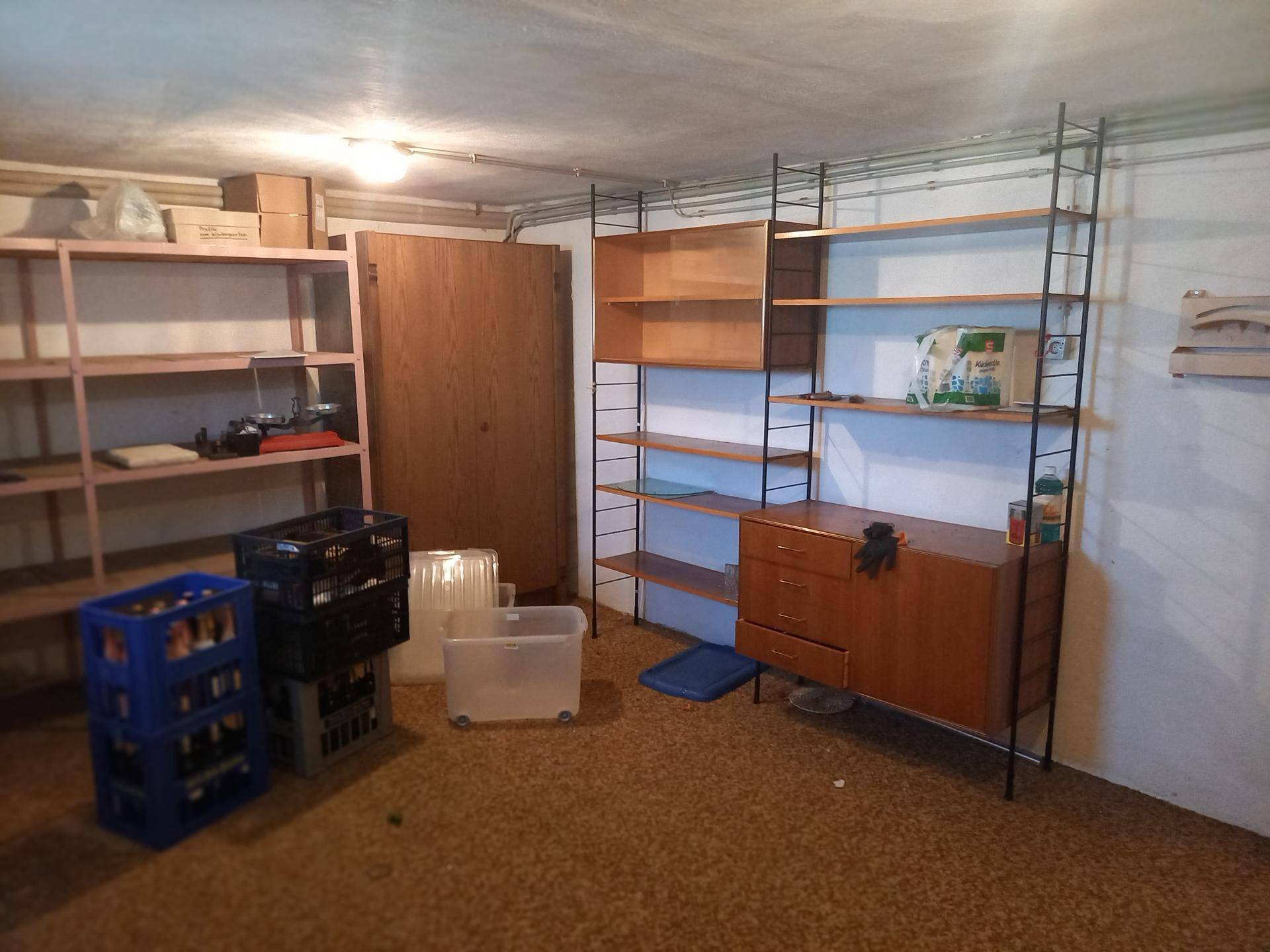 Kellerraum mit Regalen und Stauraum für verschiedene Gegenstände.