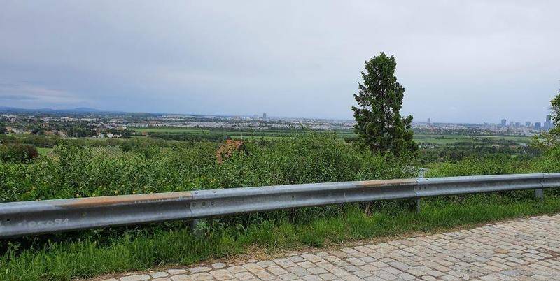 Foto_Weingarten_Vis_a_Vis